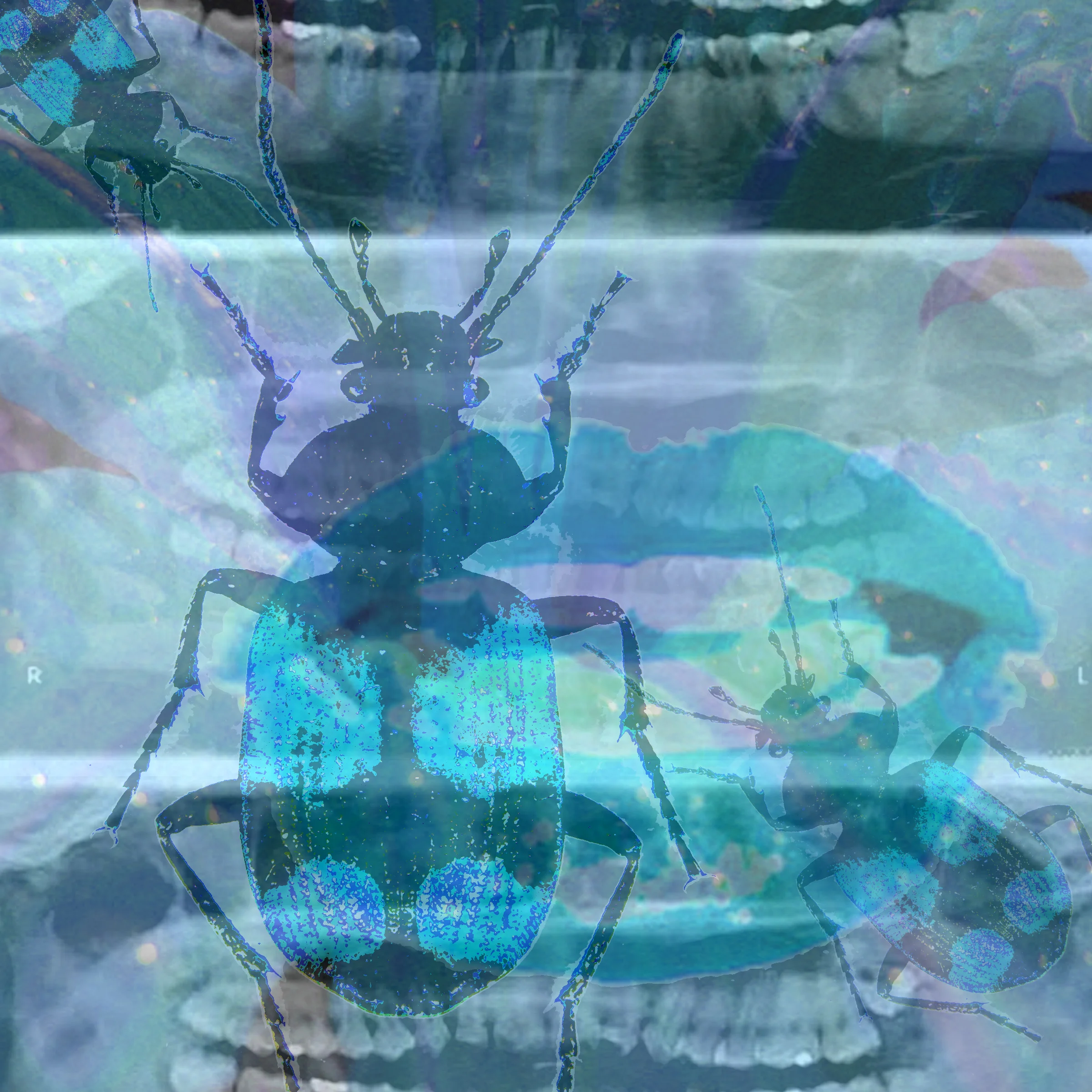 CStoddard.jpg