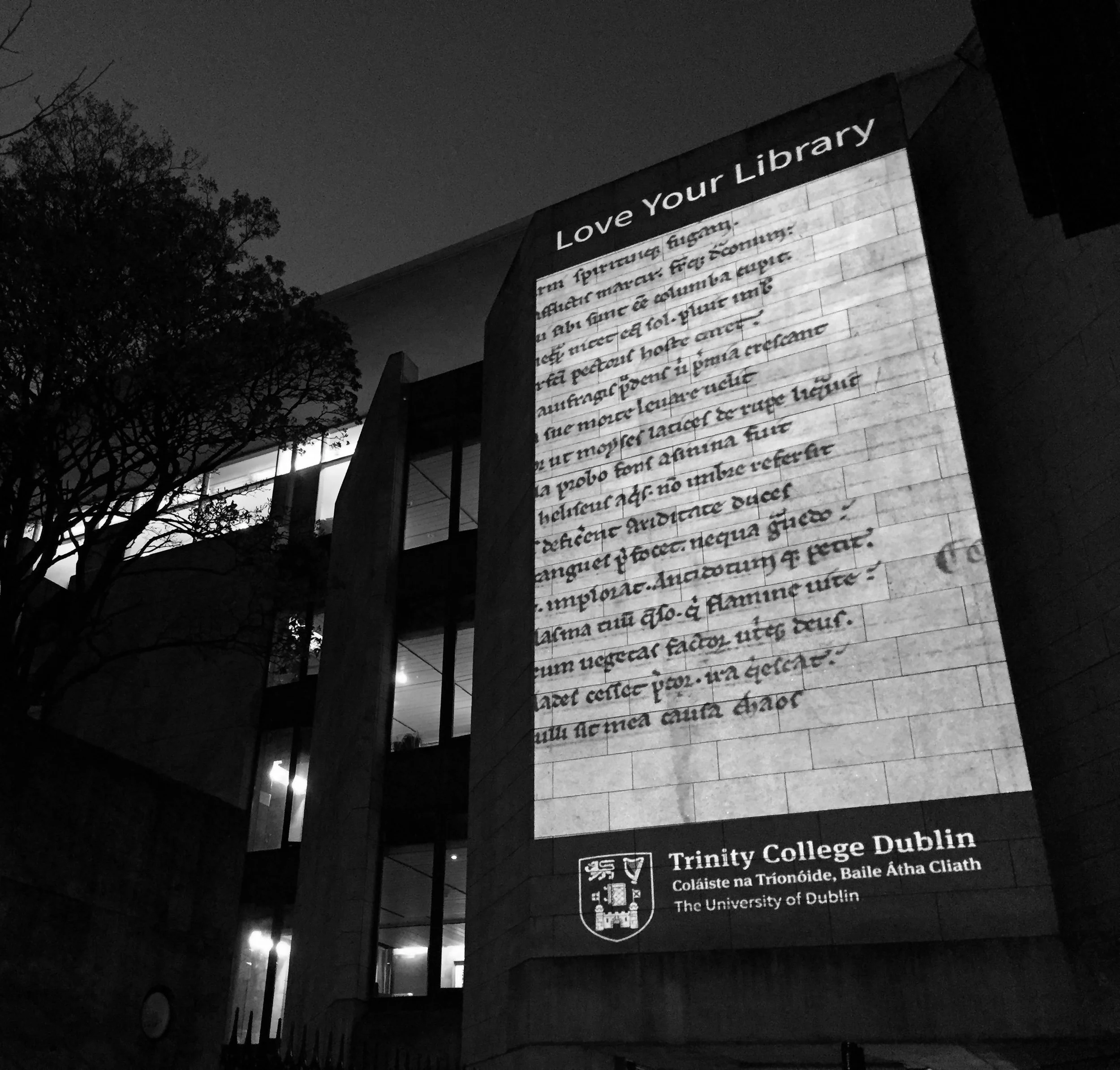 B&W TCD.jpg
