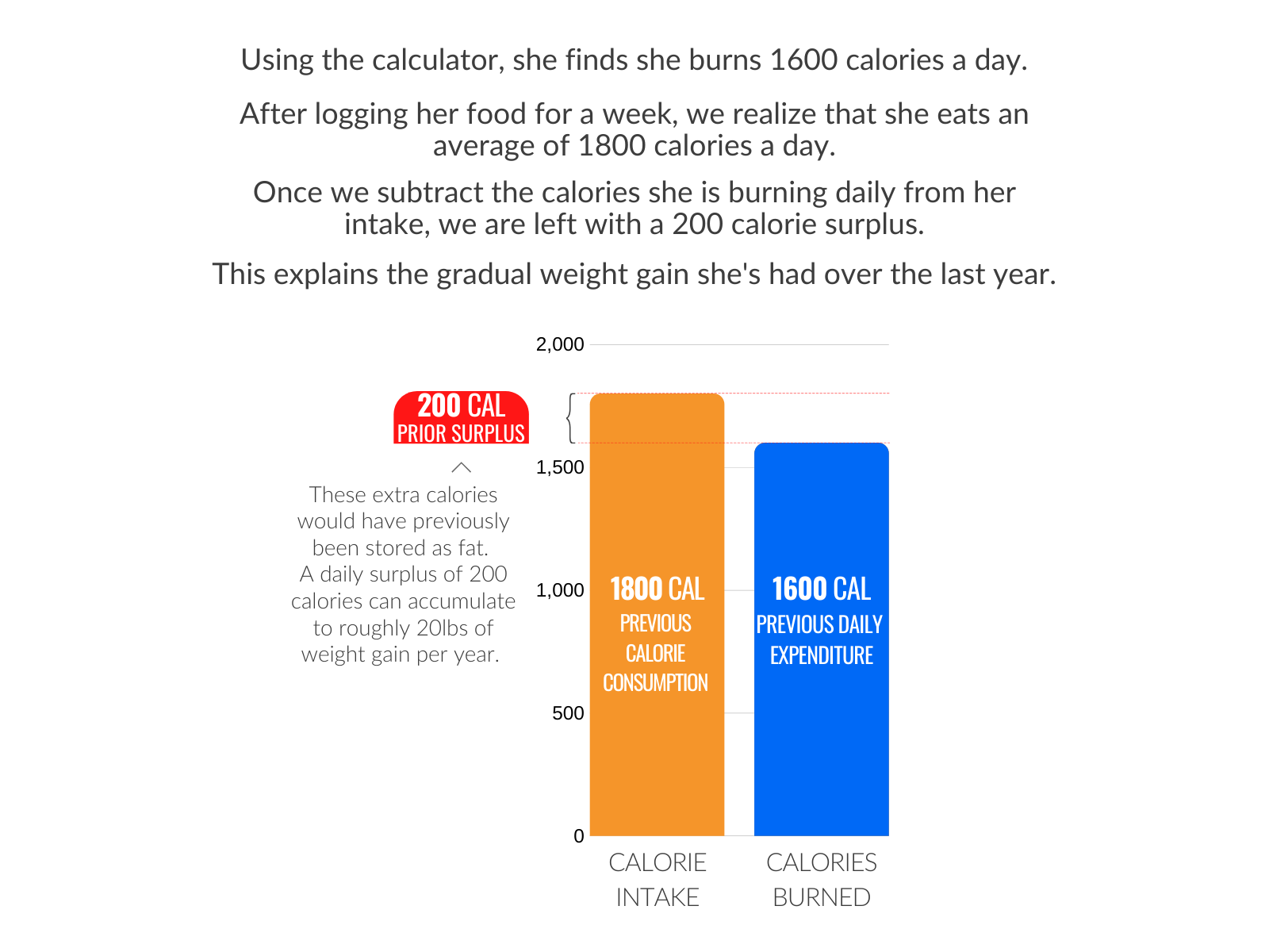 Starting Calorie Intake and Expenditure