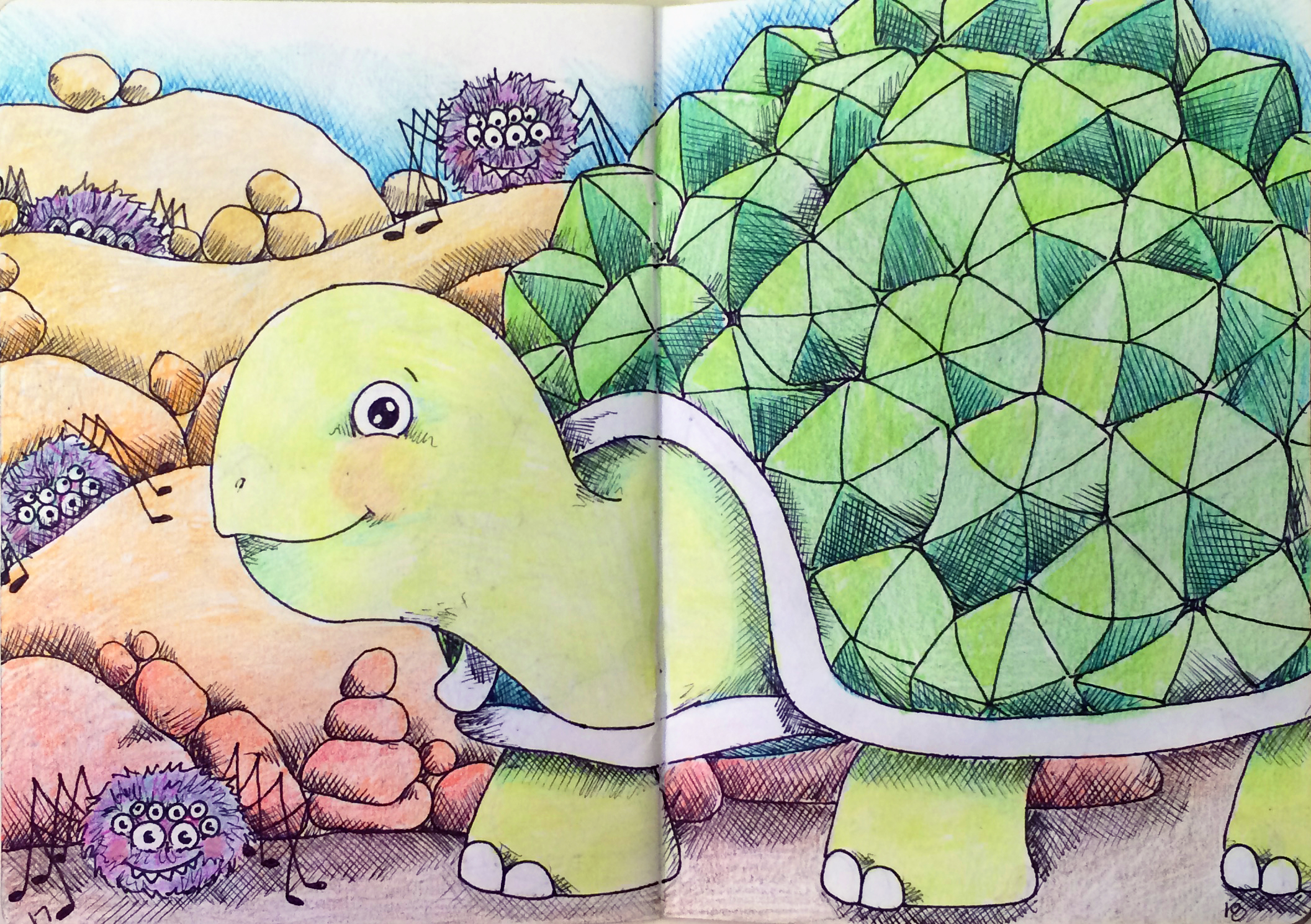 The Tortoise and Fuzzy Spiders