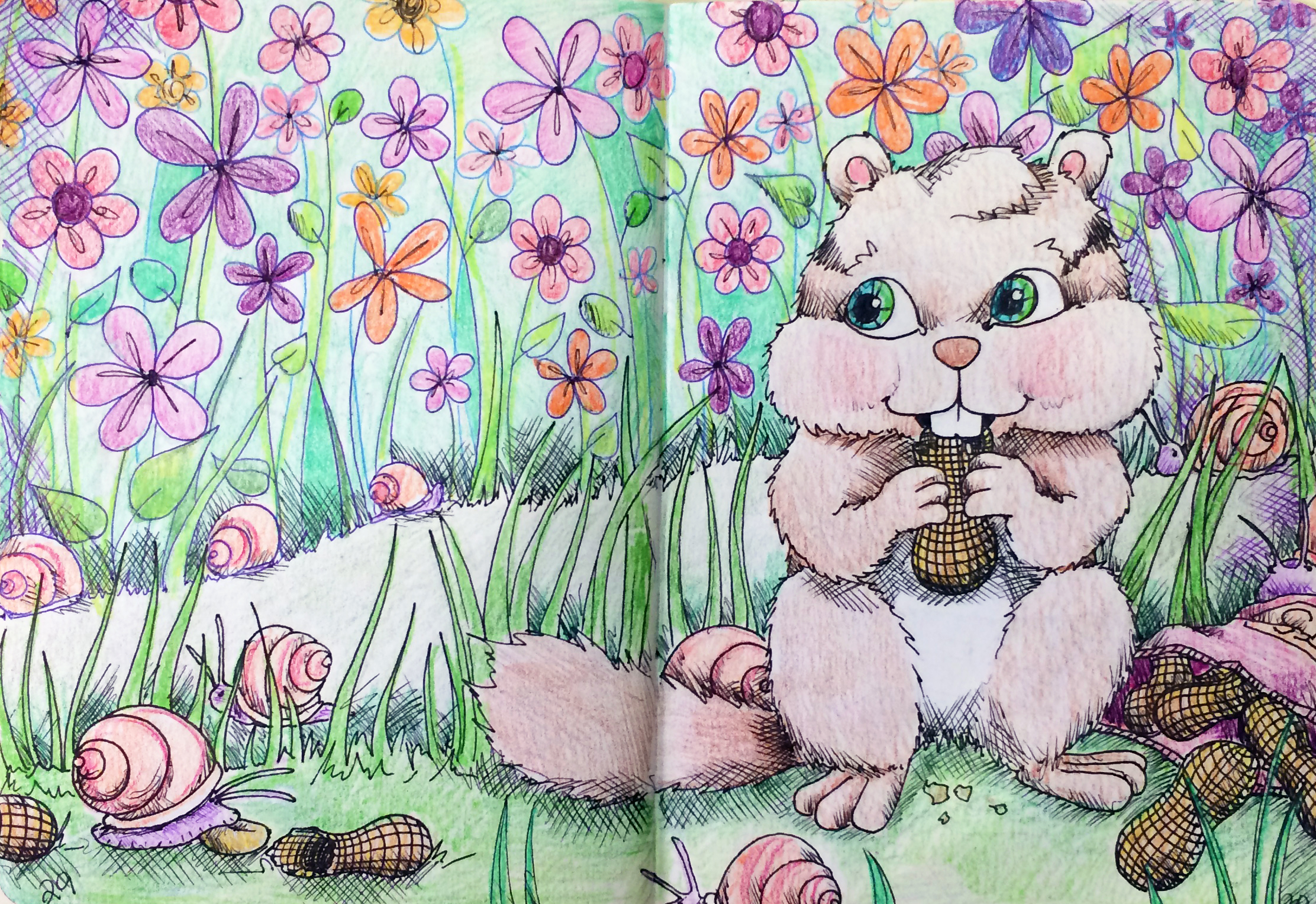 A Hungry Chipmunk and some Snails