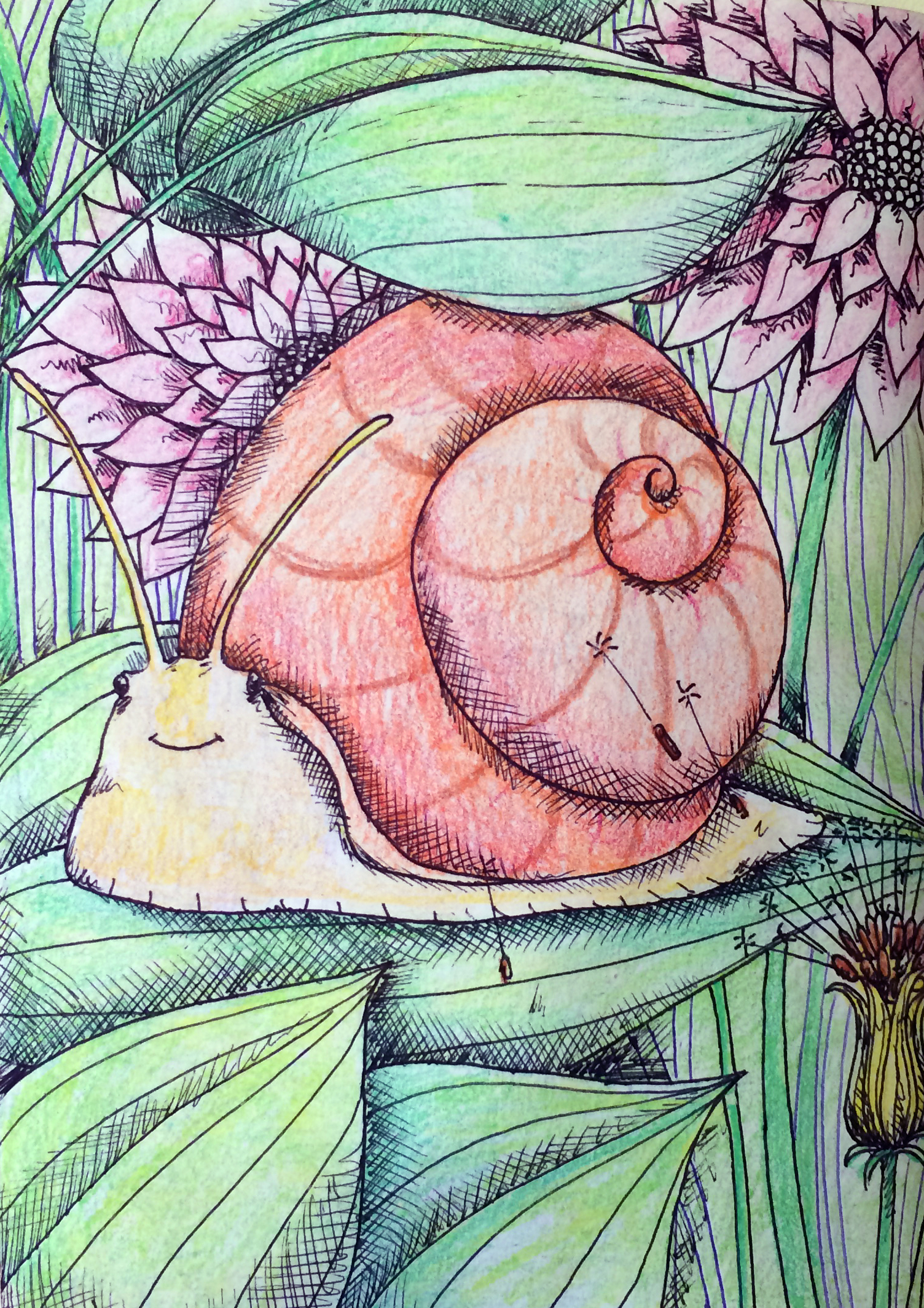 A Happy Snail