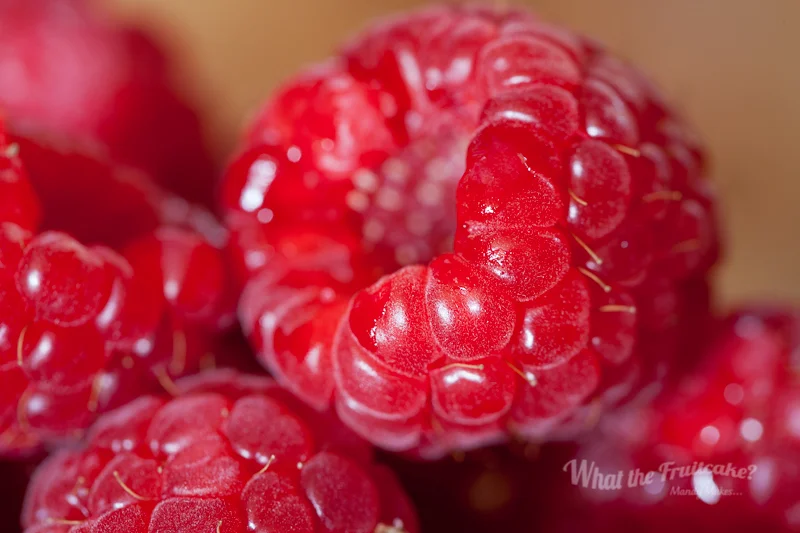 Protein Yoghurt Berries-6628.jpg