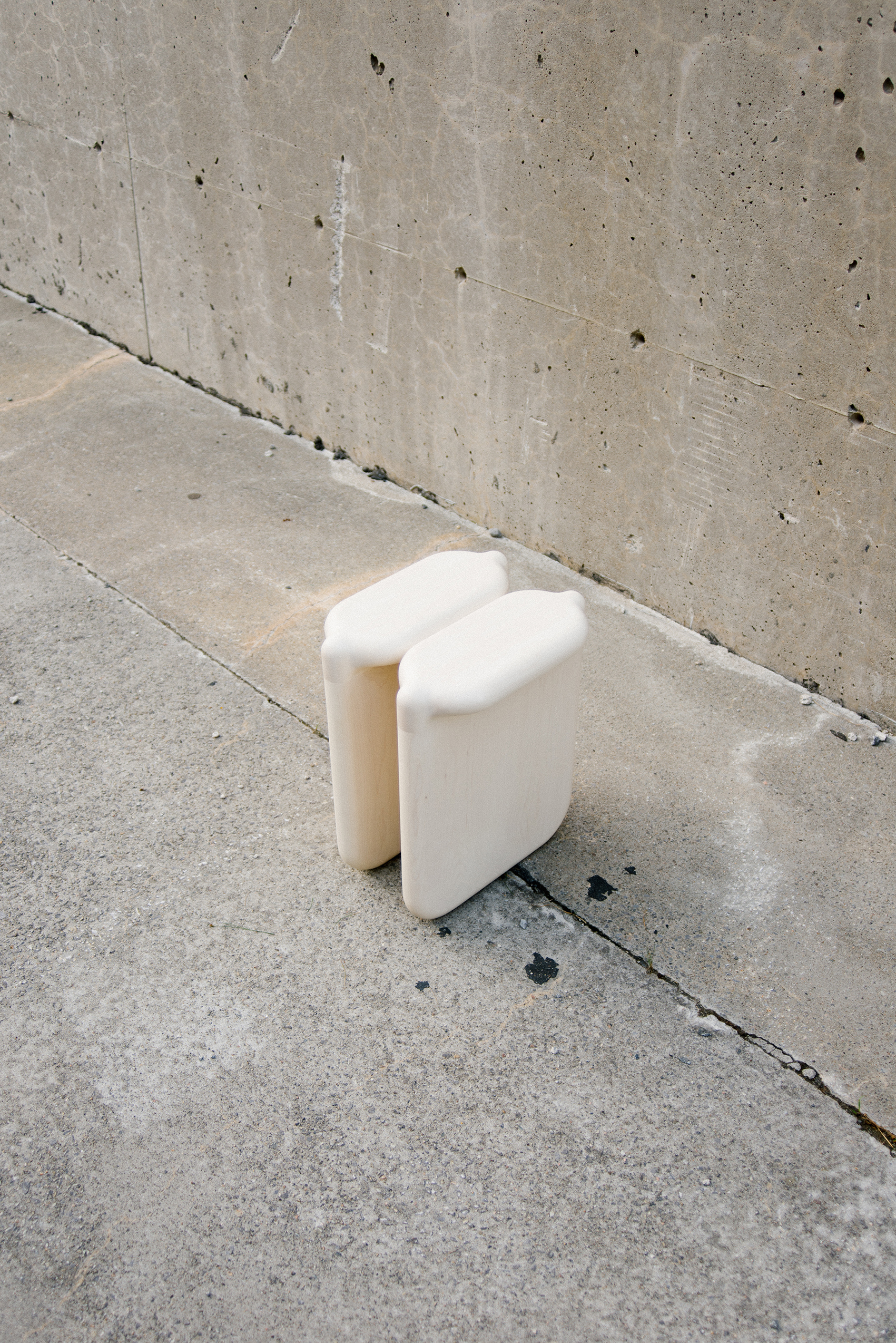 15-loicbard_stool bone_credit photo schael marceus.jpeg