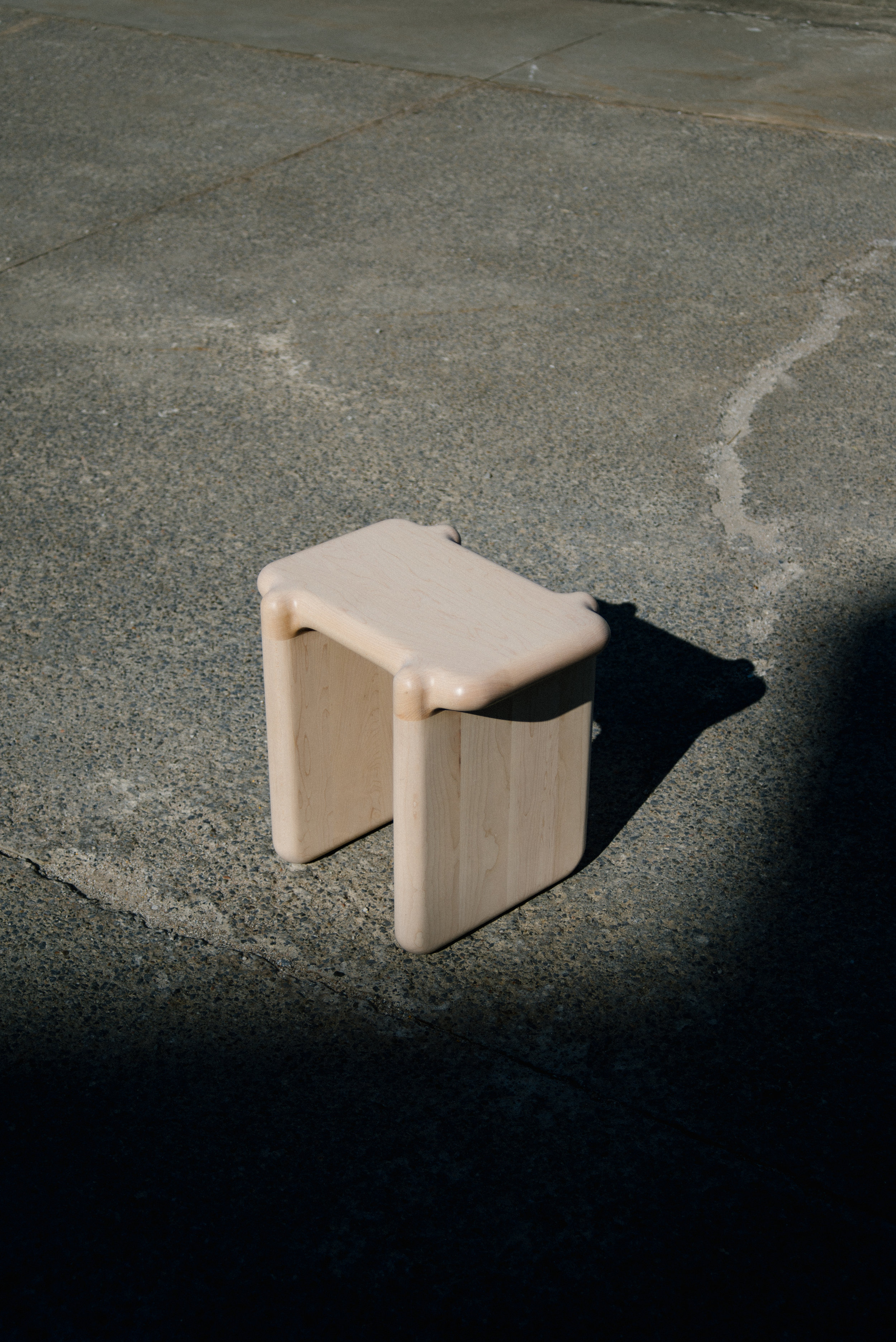 stool bone 01.jpg