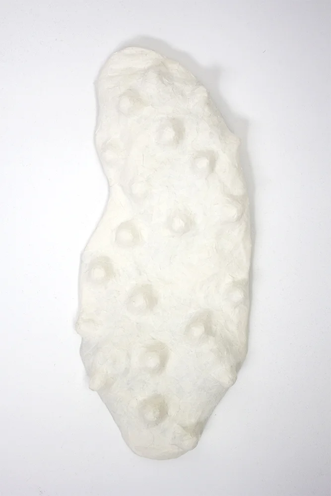 Blanc no.5.jpg