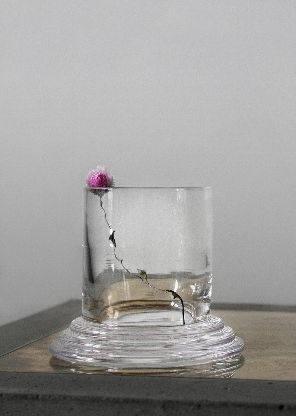 Amal Glass.jpg
