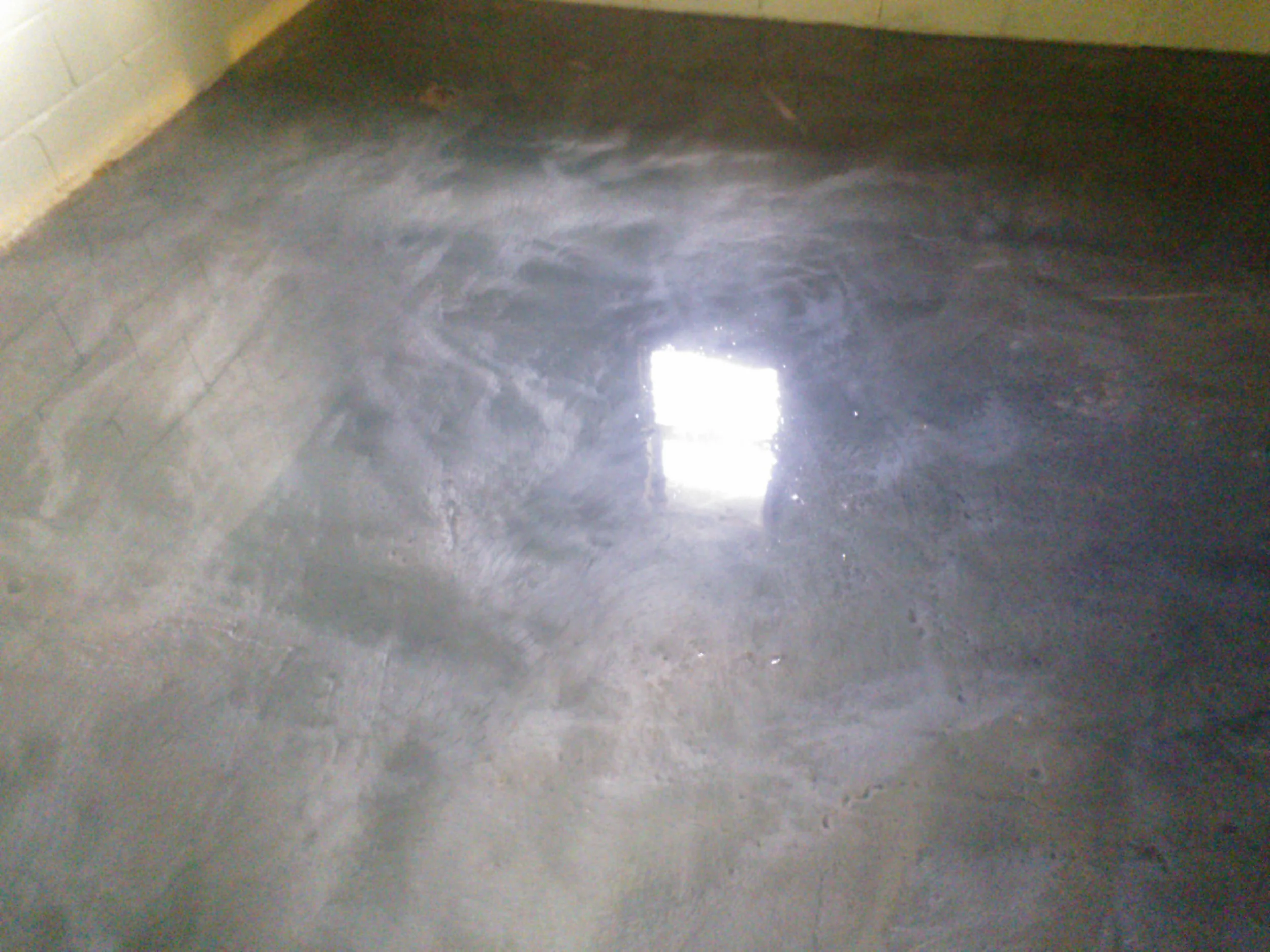 WP_001311.jpg