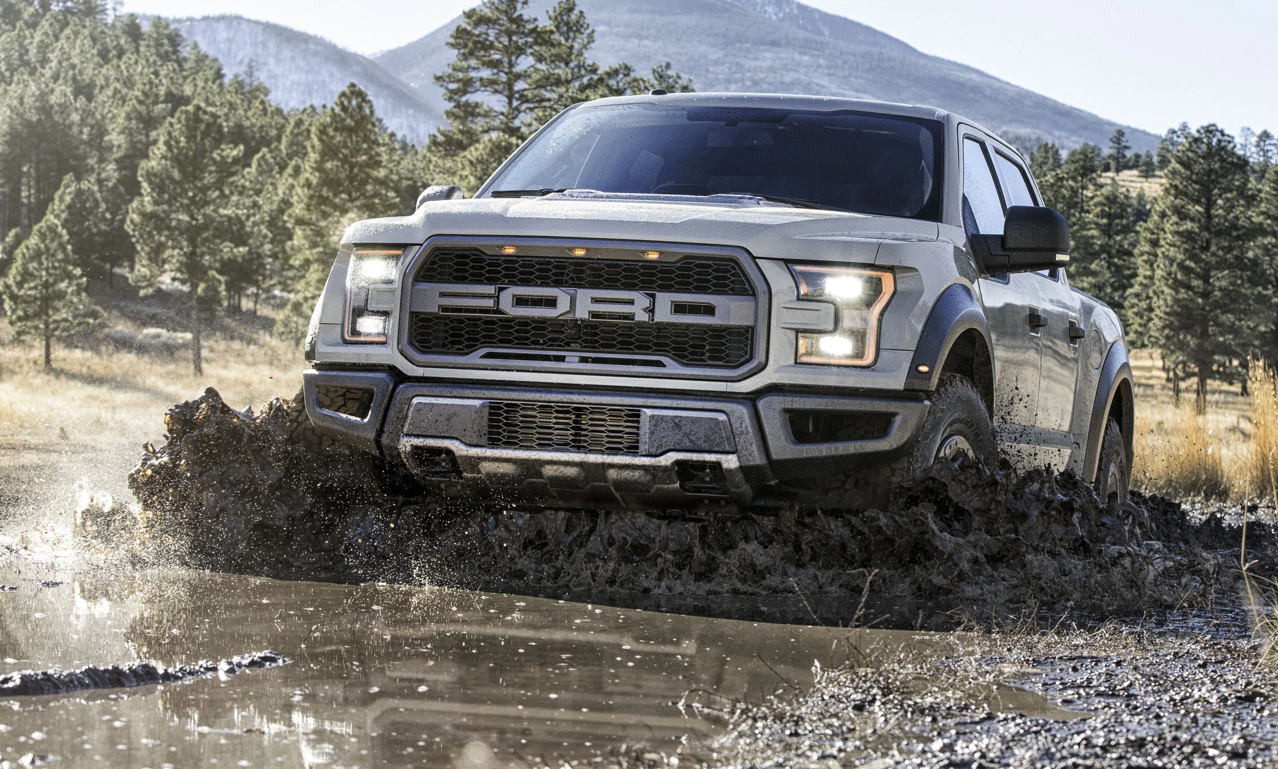 Gray_Raptor_Flagstaff_Mud_Splash_0077.jpg