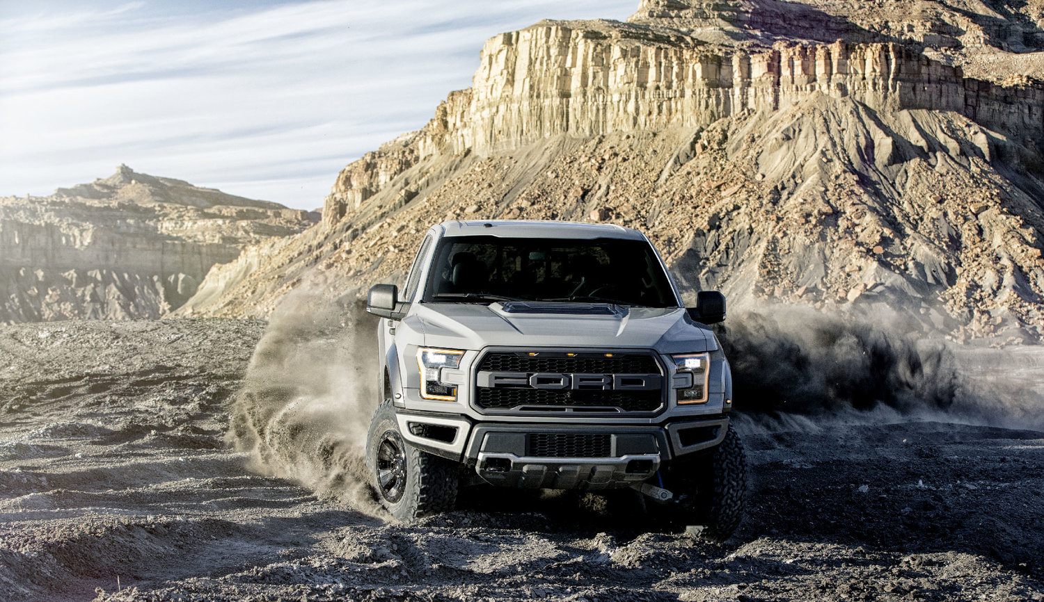 Gray_Raptor_Moon_Action_0125-copy.jpg