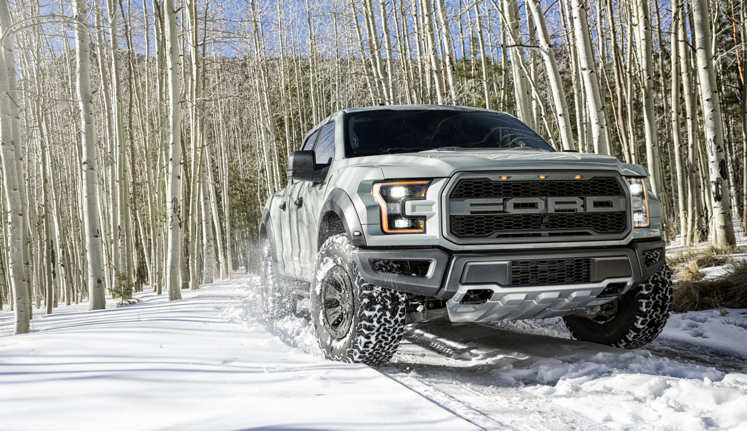 Gray_Raptor_Flagstaff_Snow_0074.jpg