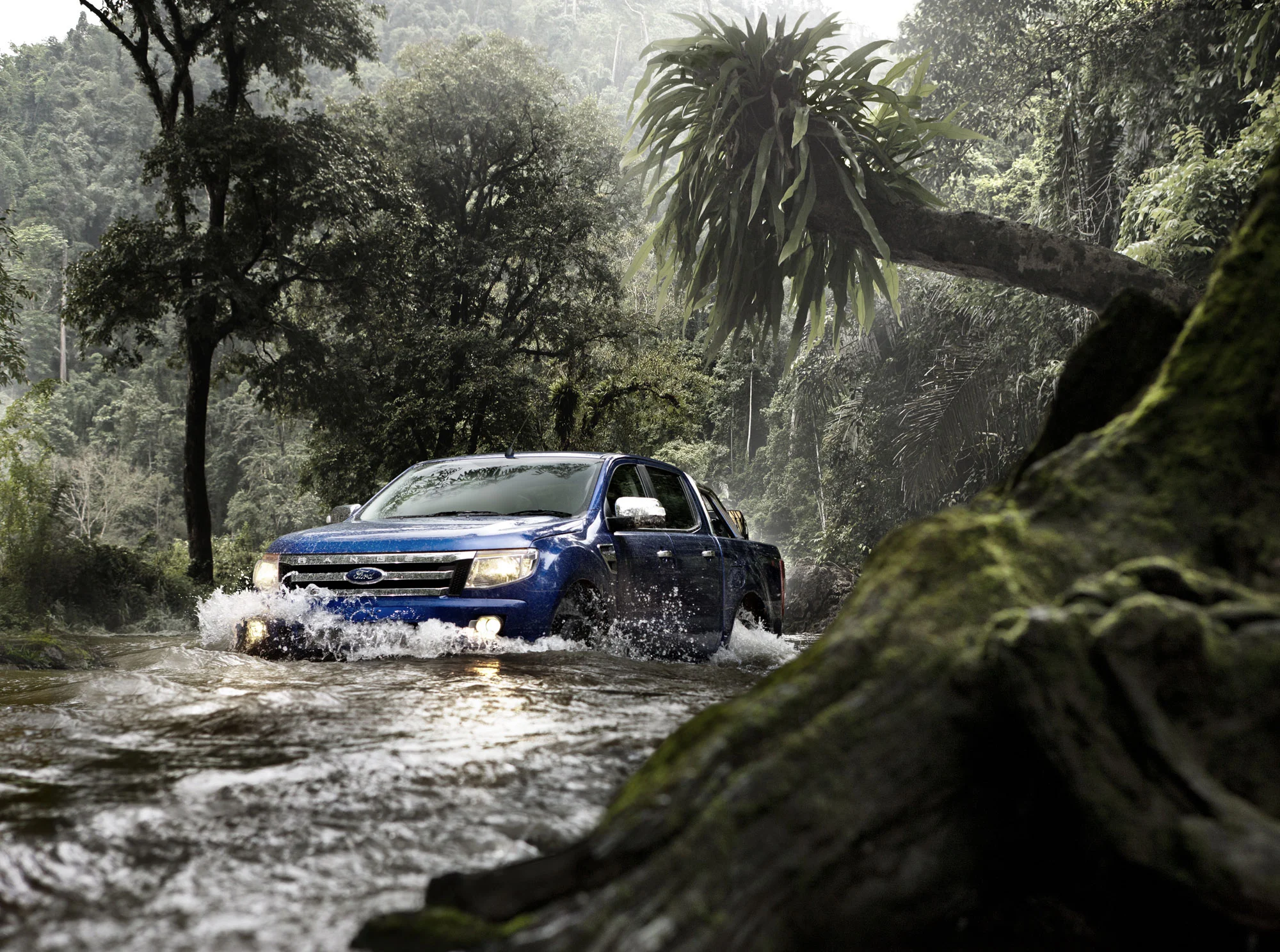 s01_ranger_jungle_v4.jpg