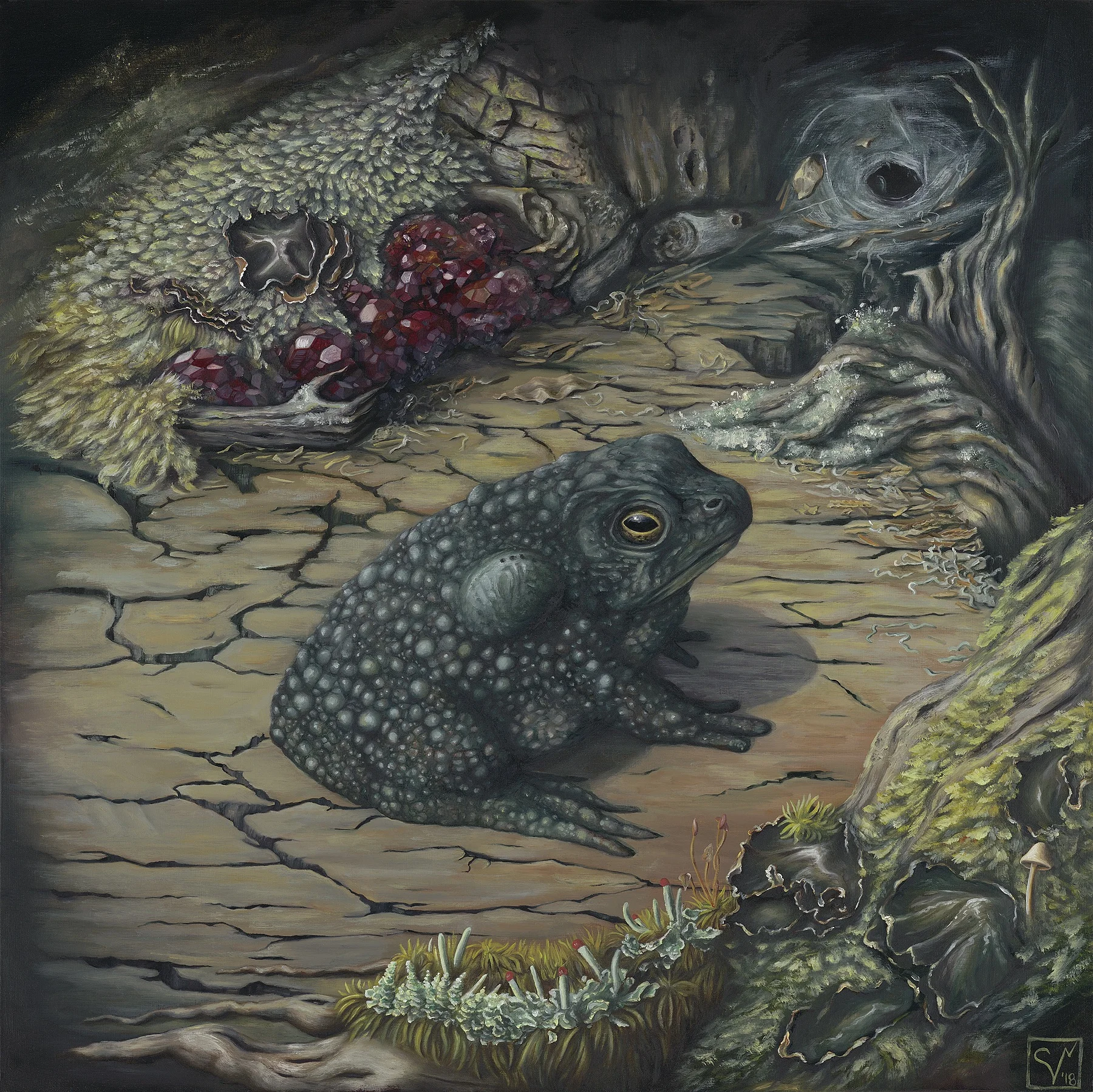 Bufo in Utero (Giclée Print)