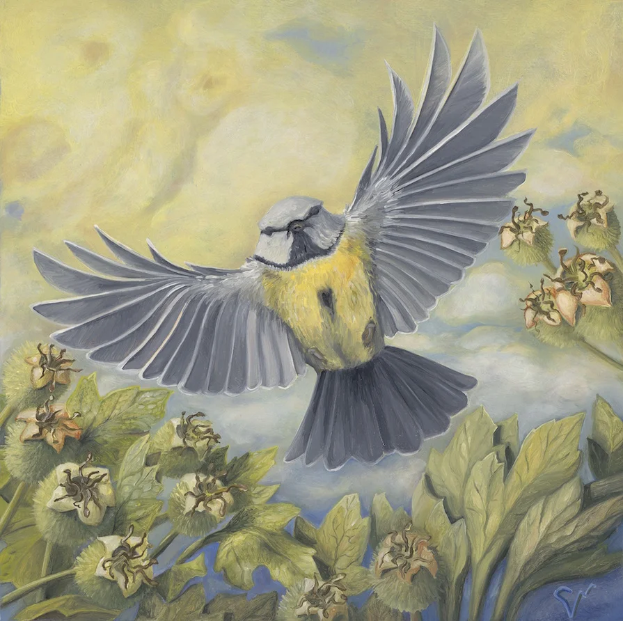 Citrinitas: To Yellow the Wings, Await the Swelling Haws (3/4), oil on panel, 2018 (6x6”) SOLD
