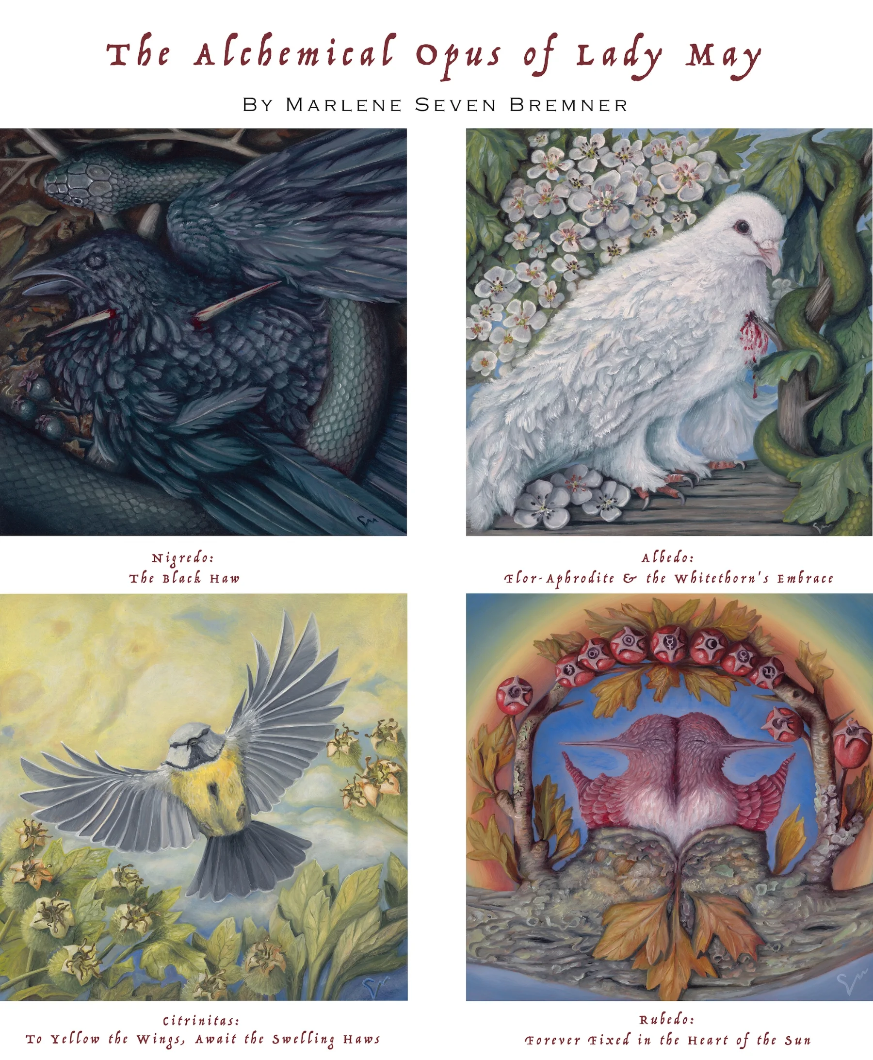 Alchemy Complete Series_Text lowres.jpeg