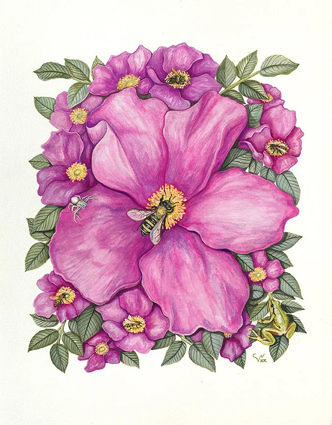 Wild Rose