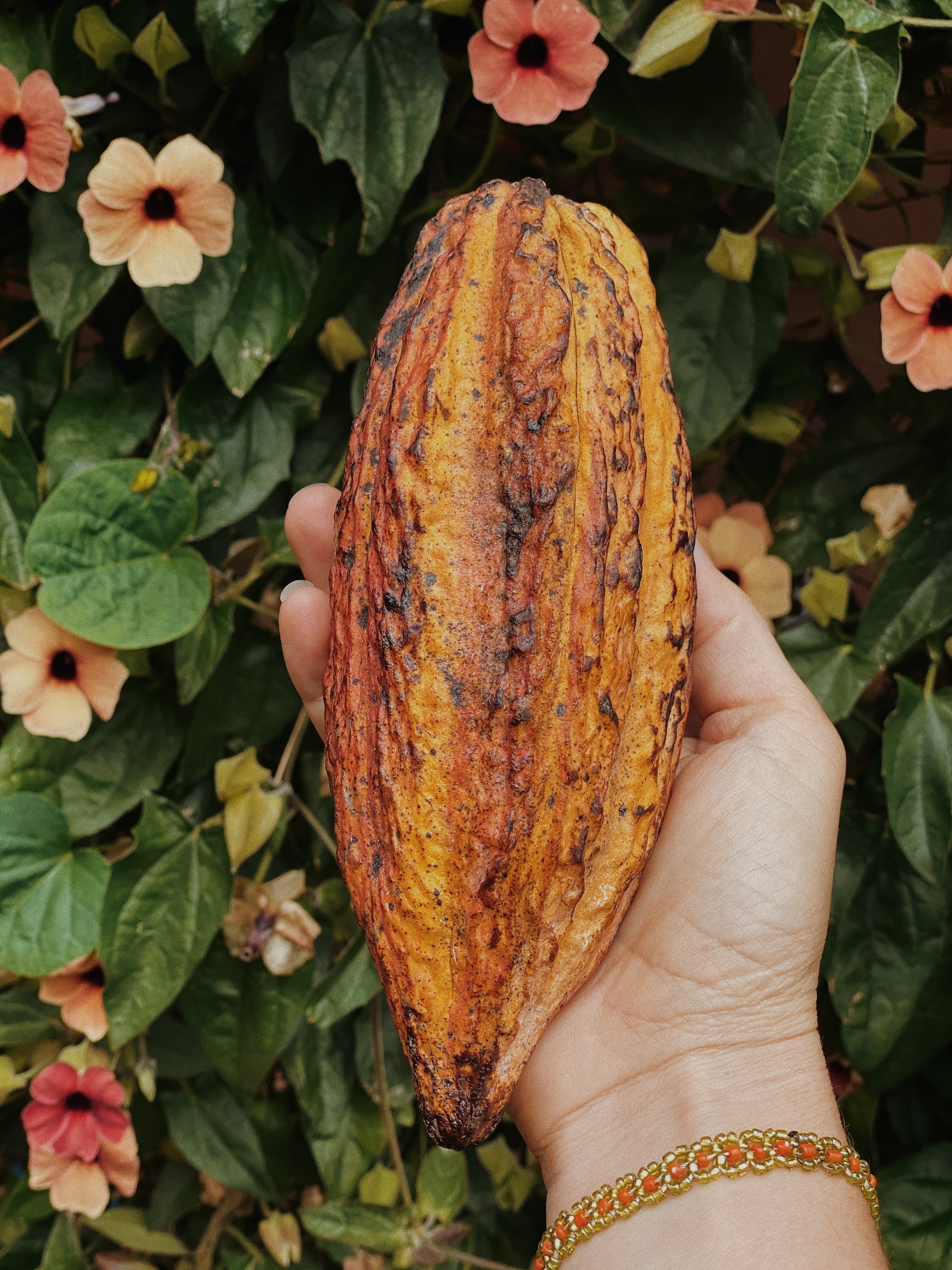 CIHUATL CACAO | Study + Prayer Immersion (Copy)