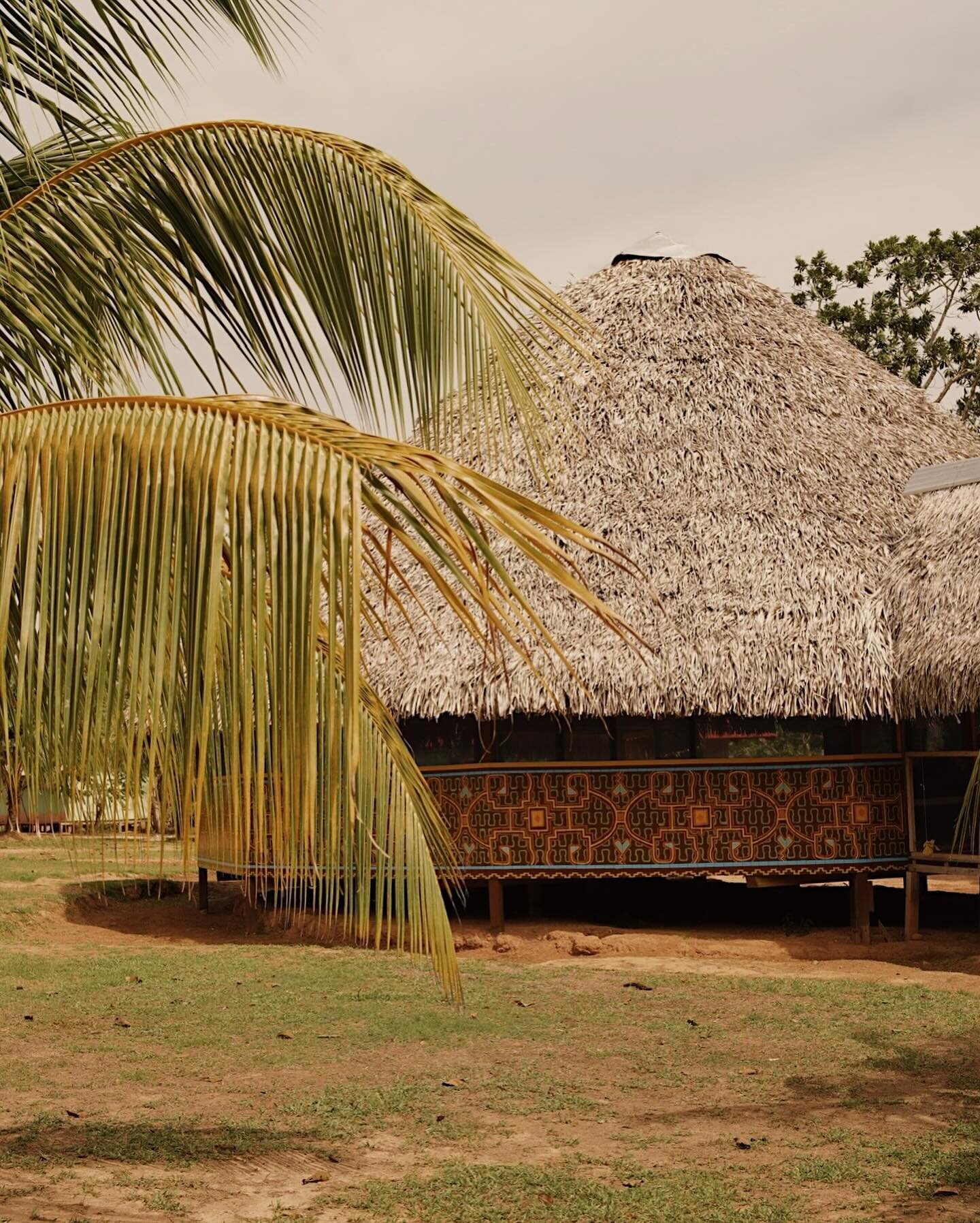 UPCOMING JOURNEY TO THE AMAZON 🌳 Shipibo Master Plant Dieta
March 28 - April 10 | Ucayali, Amazon of Peru

We are returning to @niweraoxobo following our Women&rsquo;s Journey in Mexico and are calling in a group of Dieteros whom are ready to commit