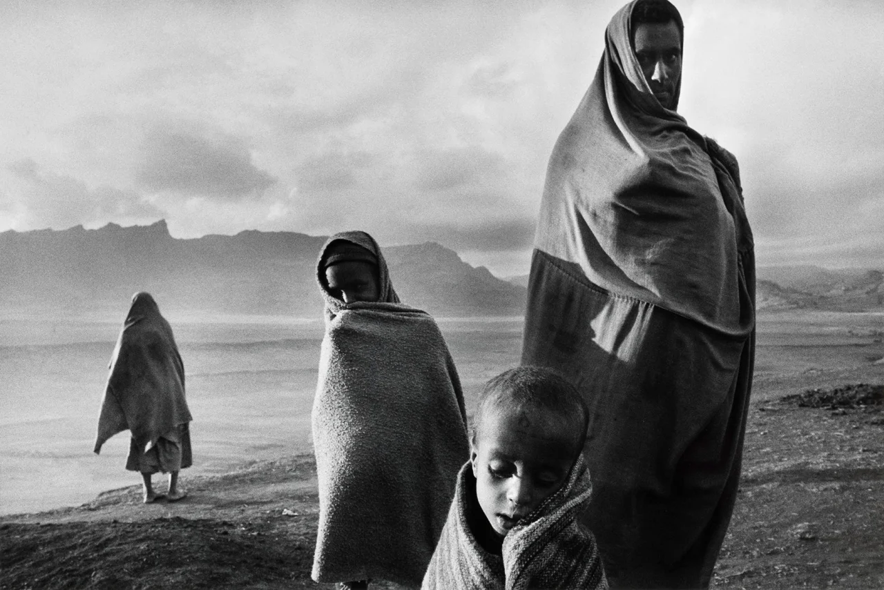 salgado2.jpg