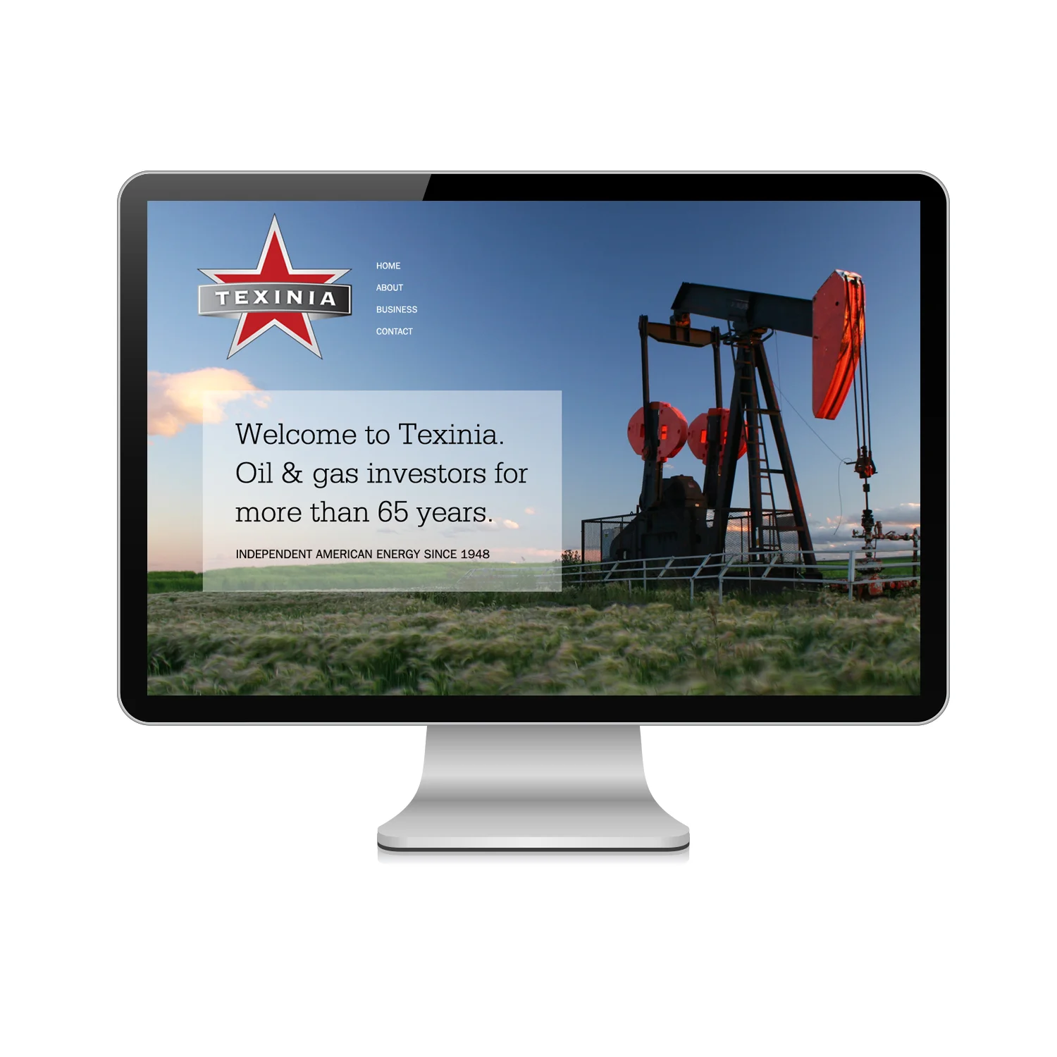 Texinia Website