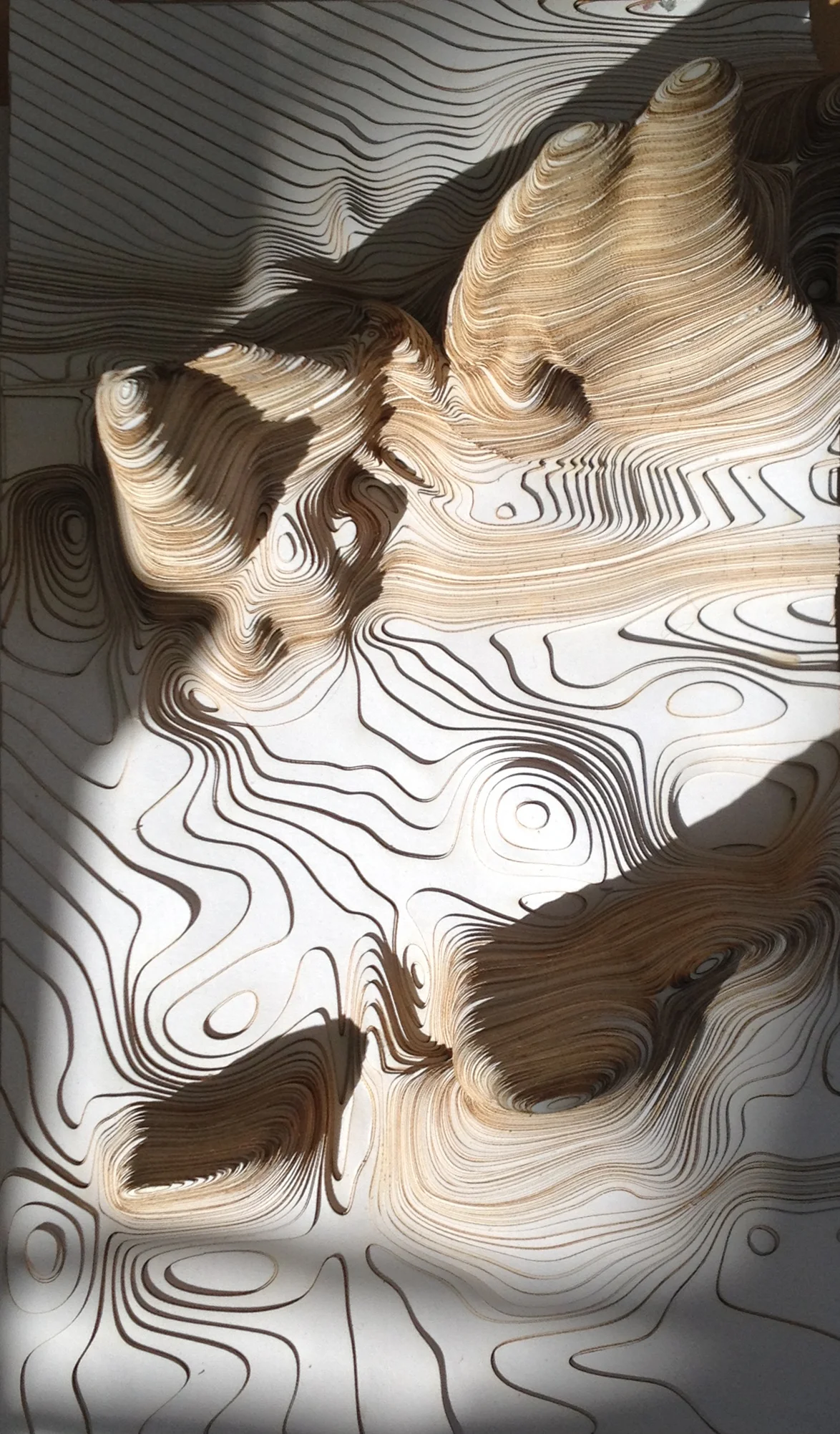 140320_1212_Emily_Nina_Flux_Fields_2_landform_image_3.jpg