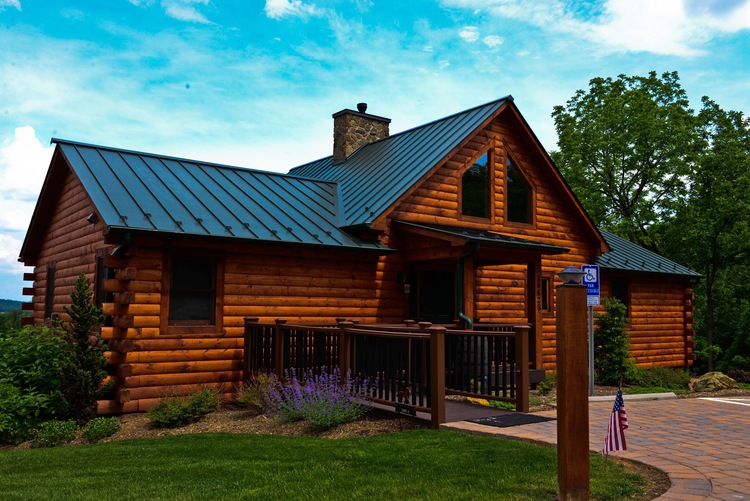 cabin 4.jpeg