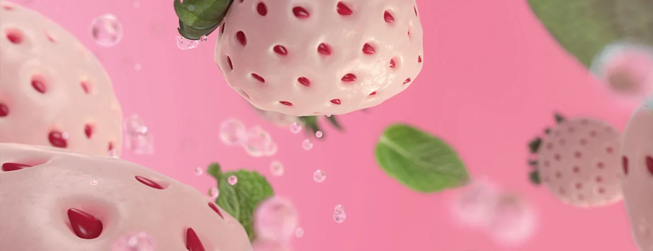 FRESHheader.jpg