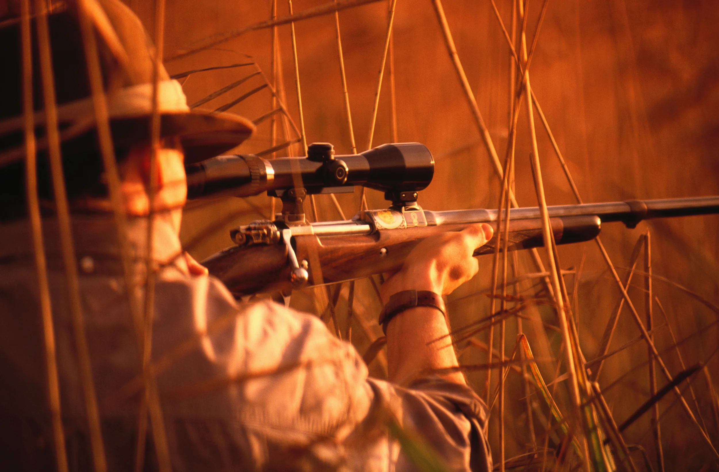 Hunter Using Robotic Decoys