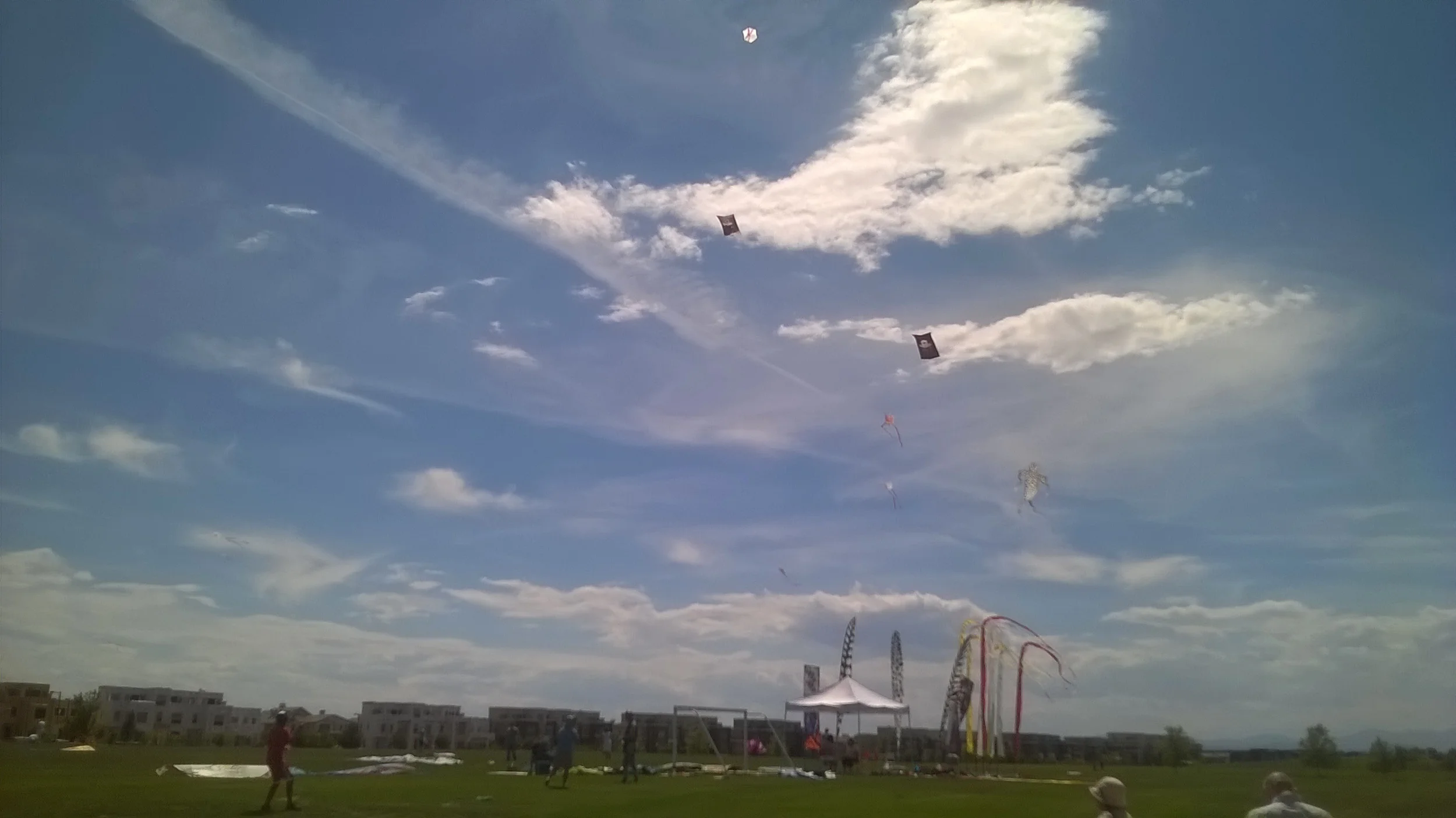 WP_20150801_14_36_32_Pro.jpg