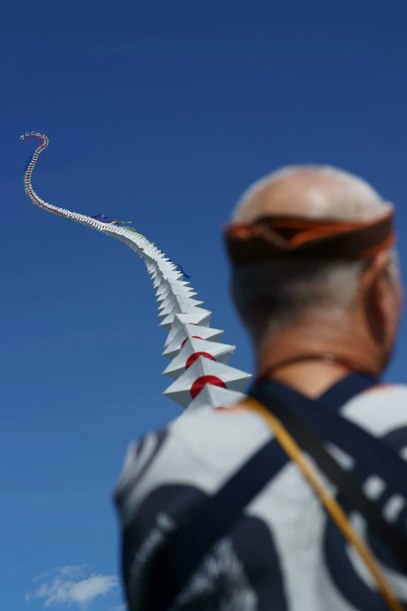 Kite5.jpg