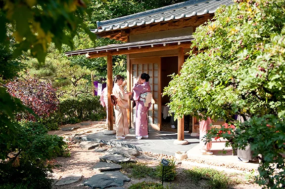 teahousegarden_1_0.jpg