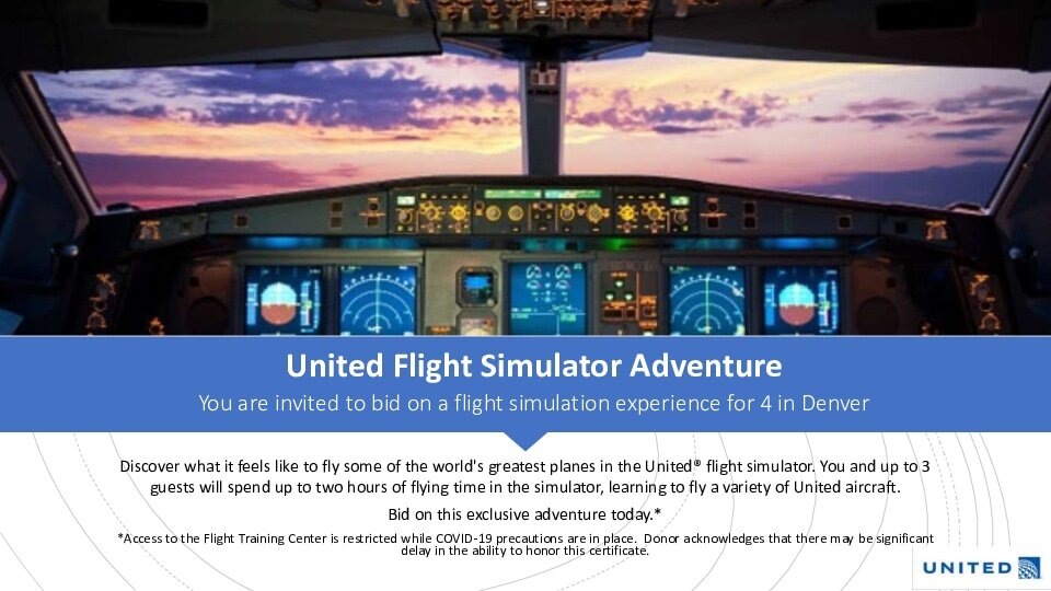 UA Flight Simulator.jpg