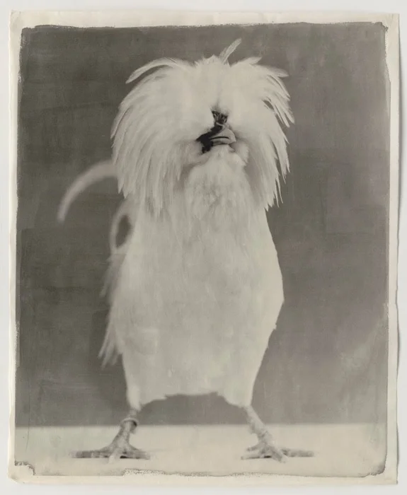 White #15.jpg