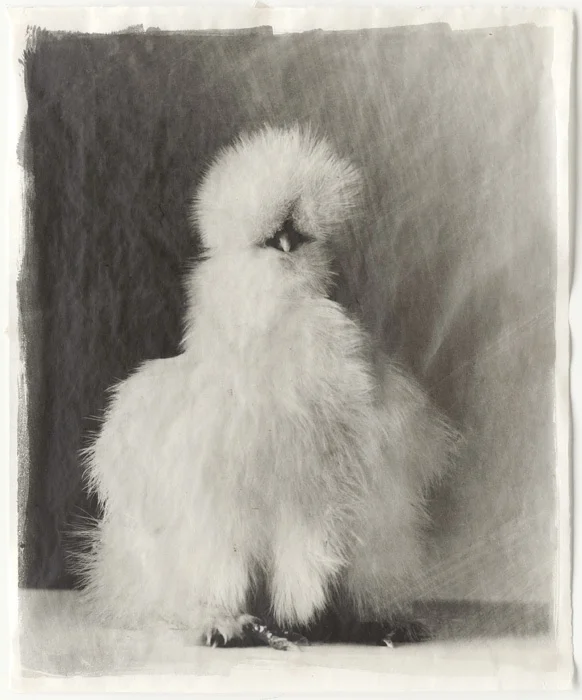 White #22.jpg