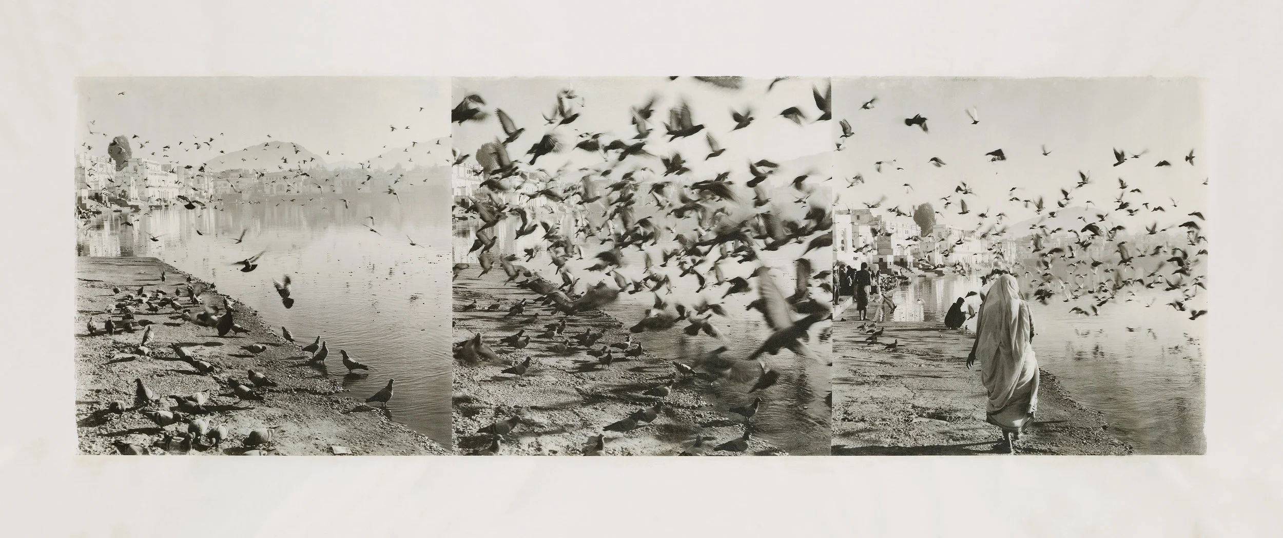 Jean Pagliuso - Landscape