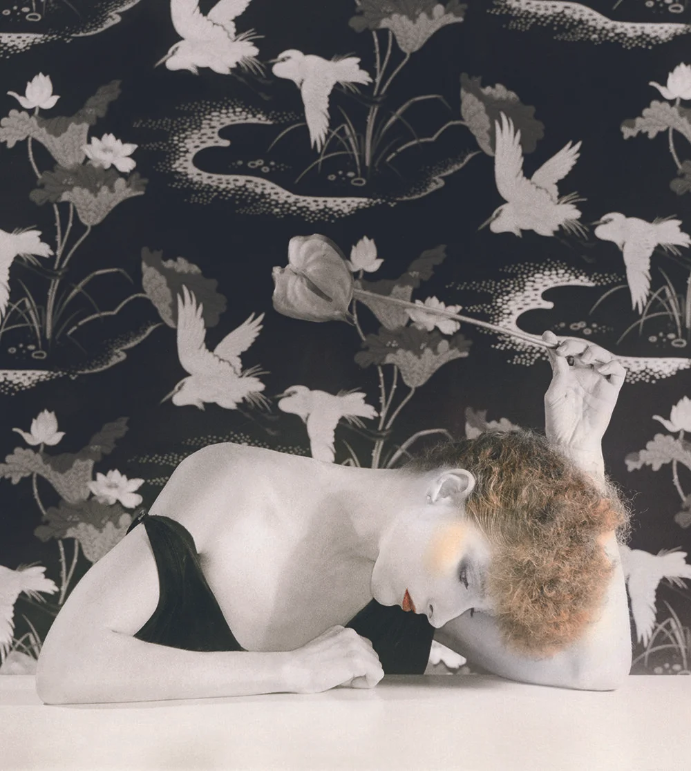 021 Elaine Grove with Egrets_1975_Print_Box 32.jpg