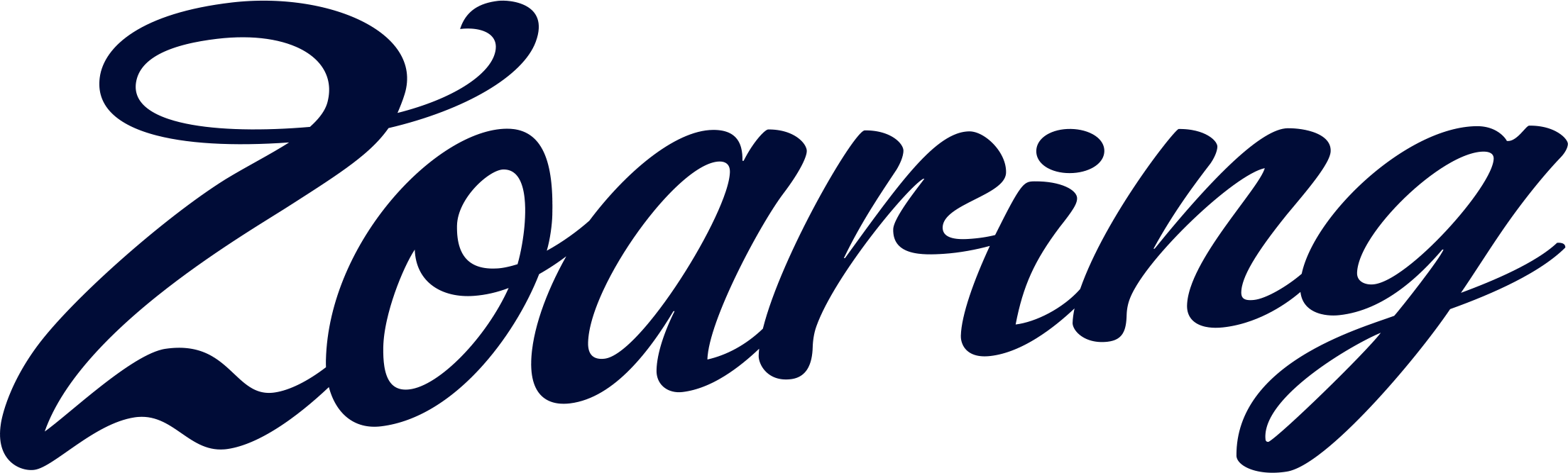 Zoaring+logo.png