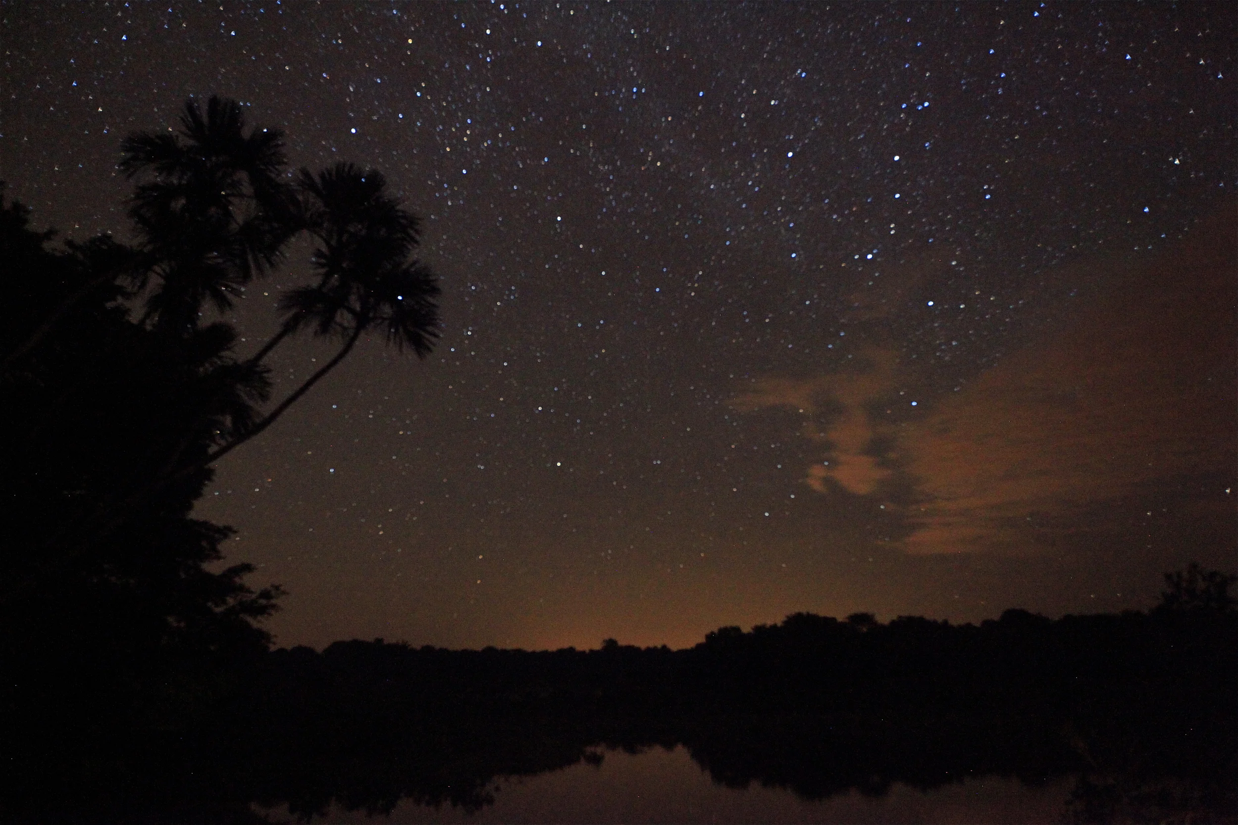 Amazon Nightfall.JPG