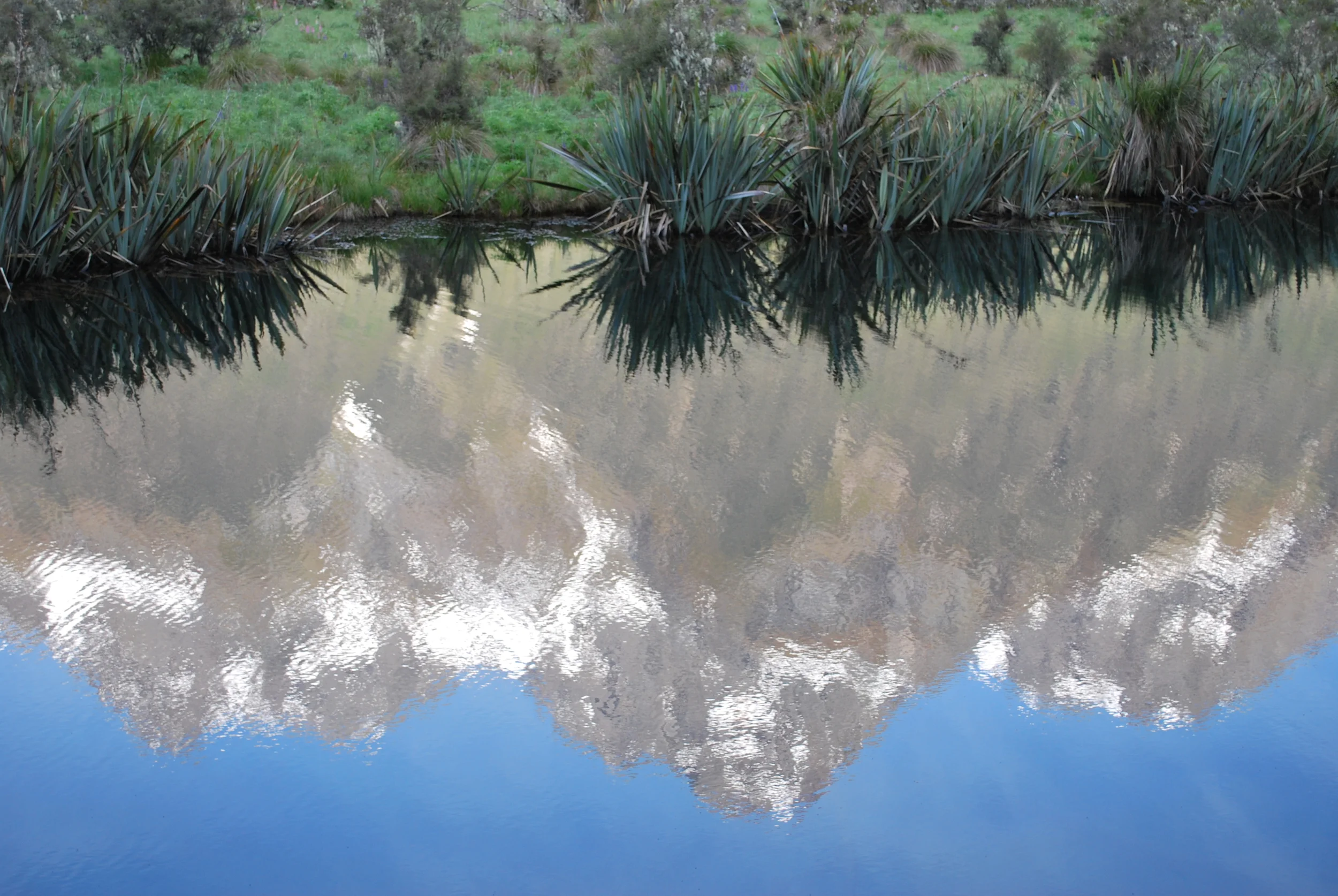 Mirror Lakes near Milford Sound, New Zealand