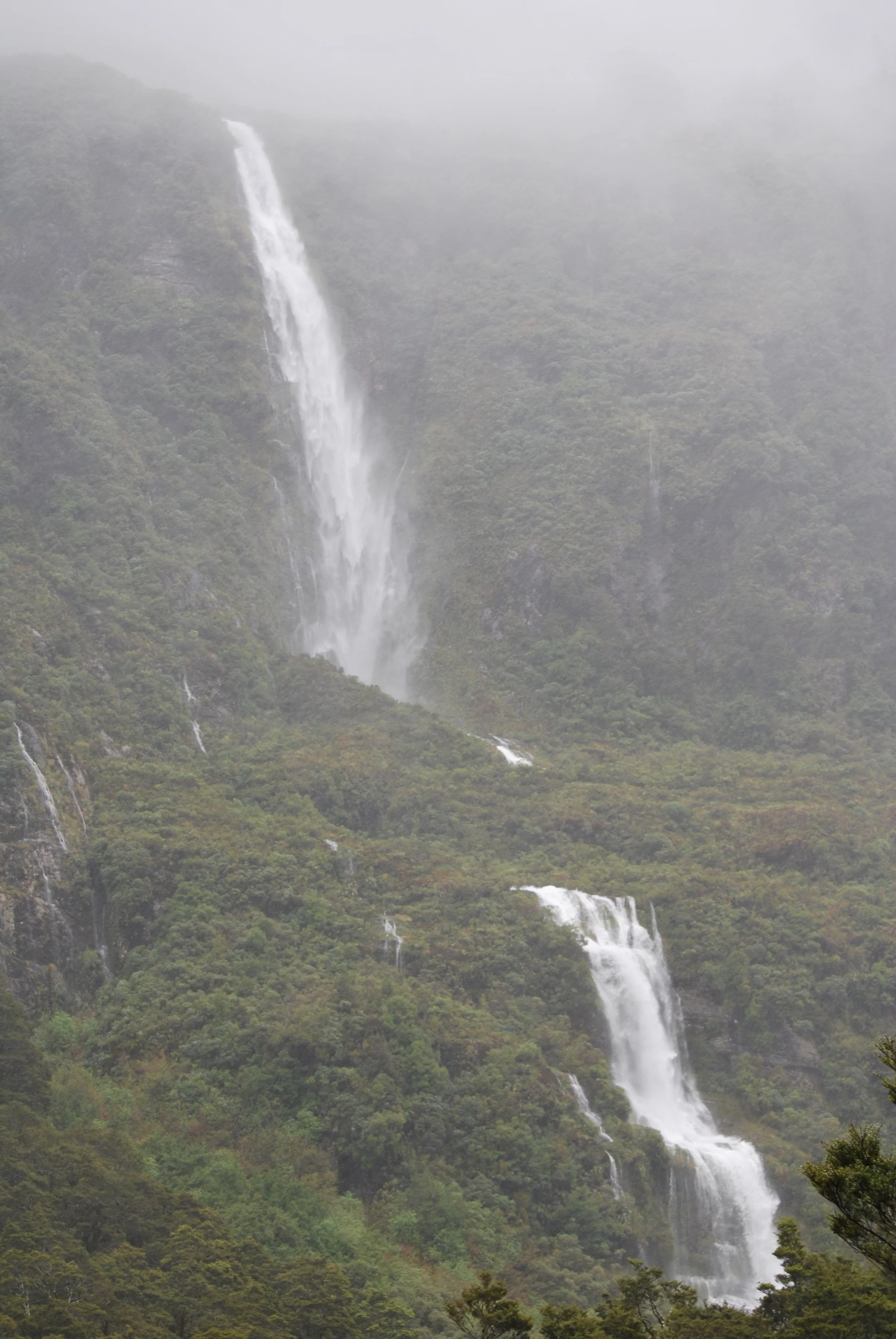 Near Doubtful Sound, New Zealand