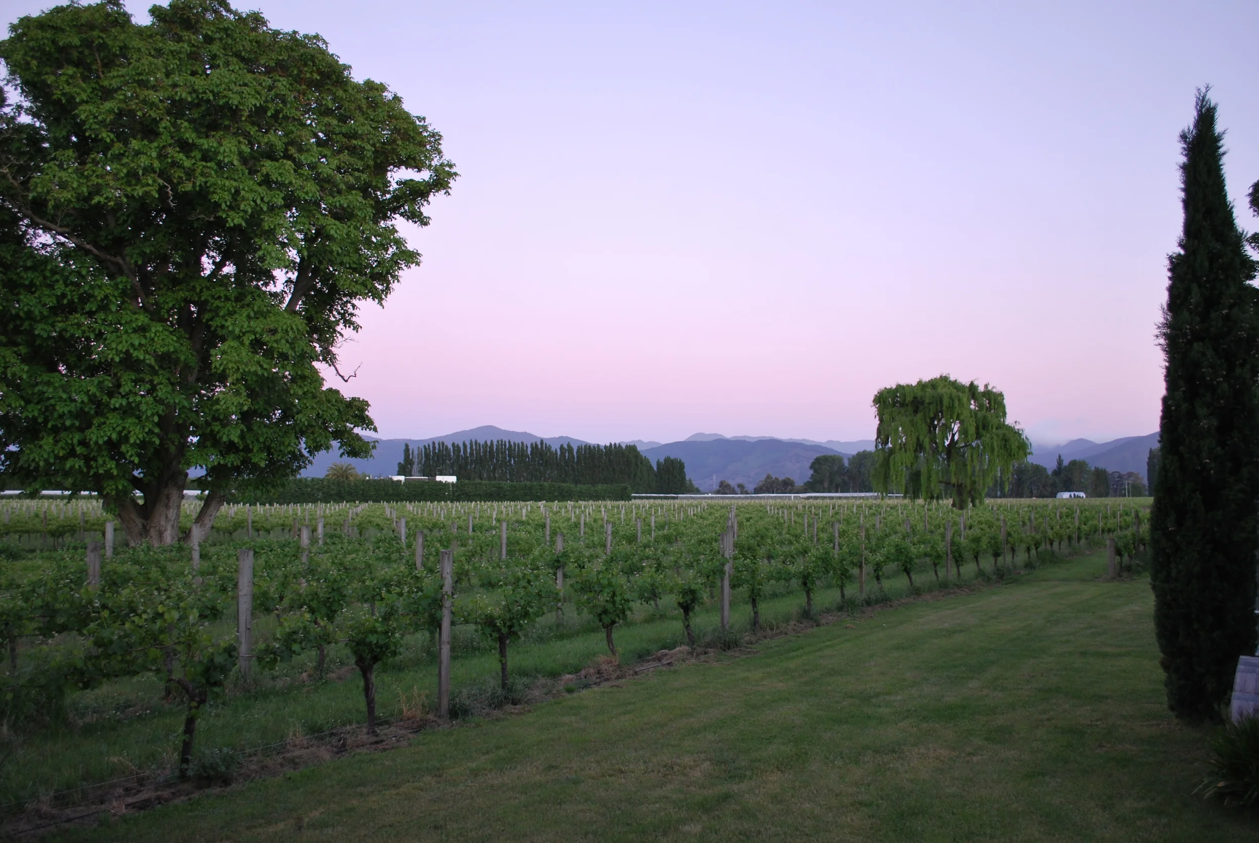 Walnut Block Winery, Marlborough, New Zealand