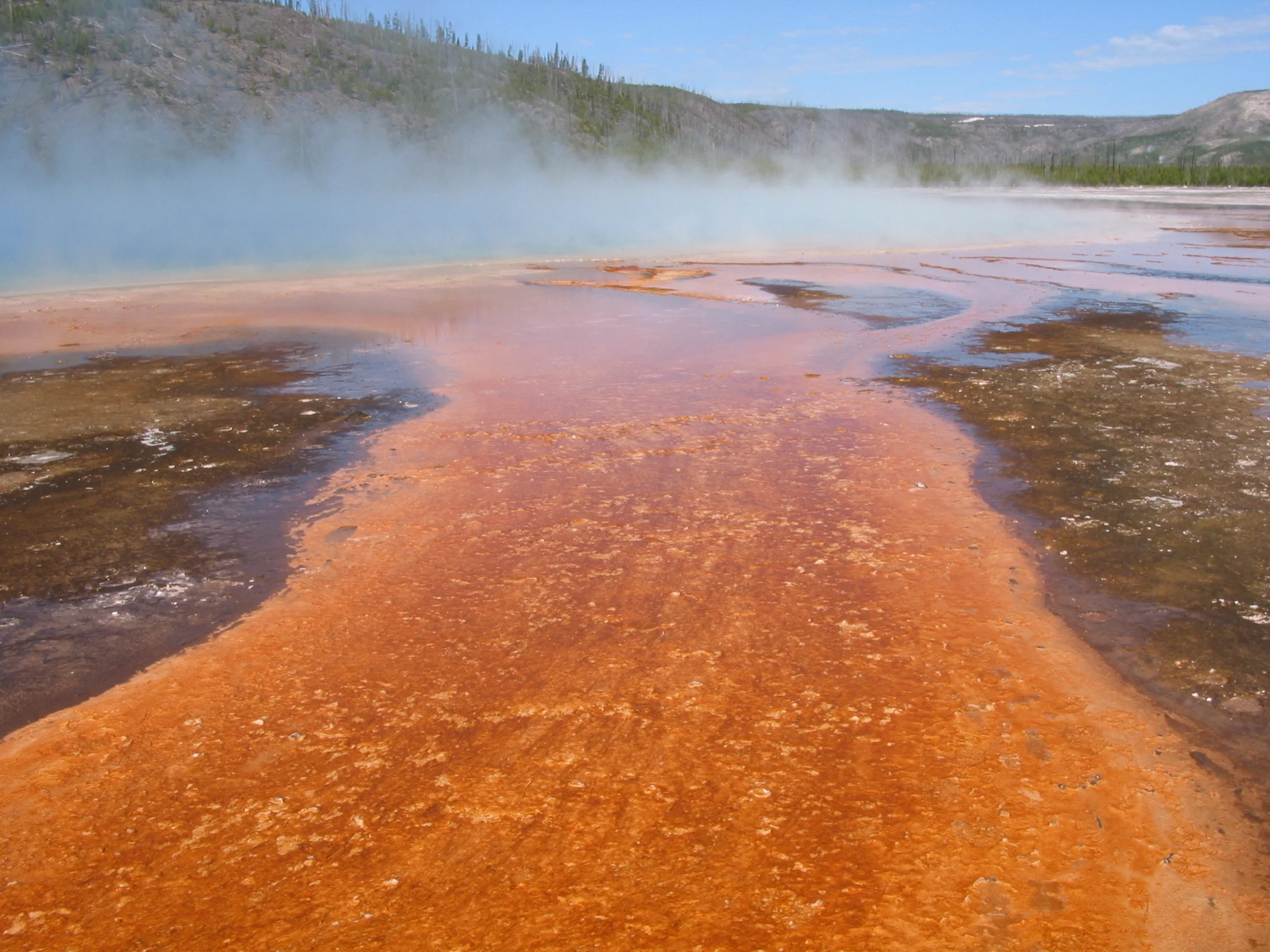 Grand Prismatic Spring, Yellowstone National Park, Wyoming