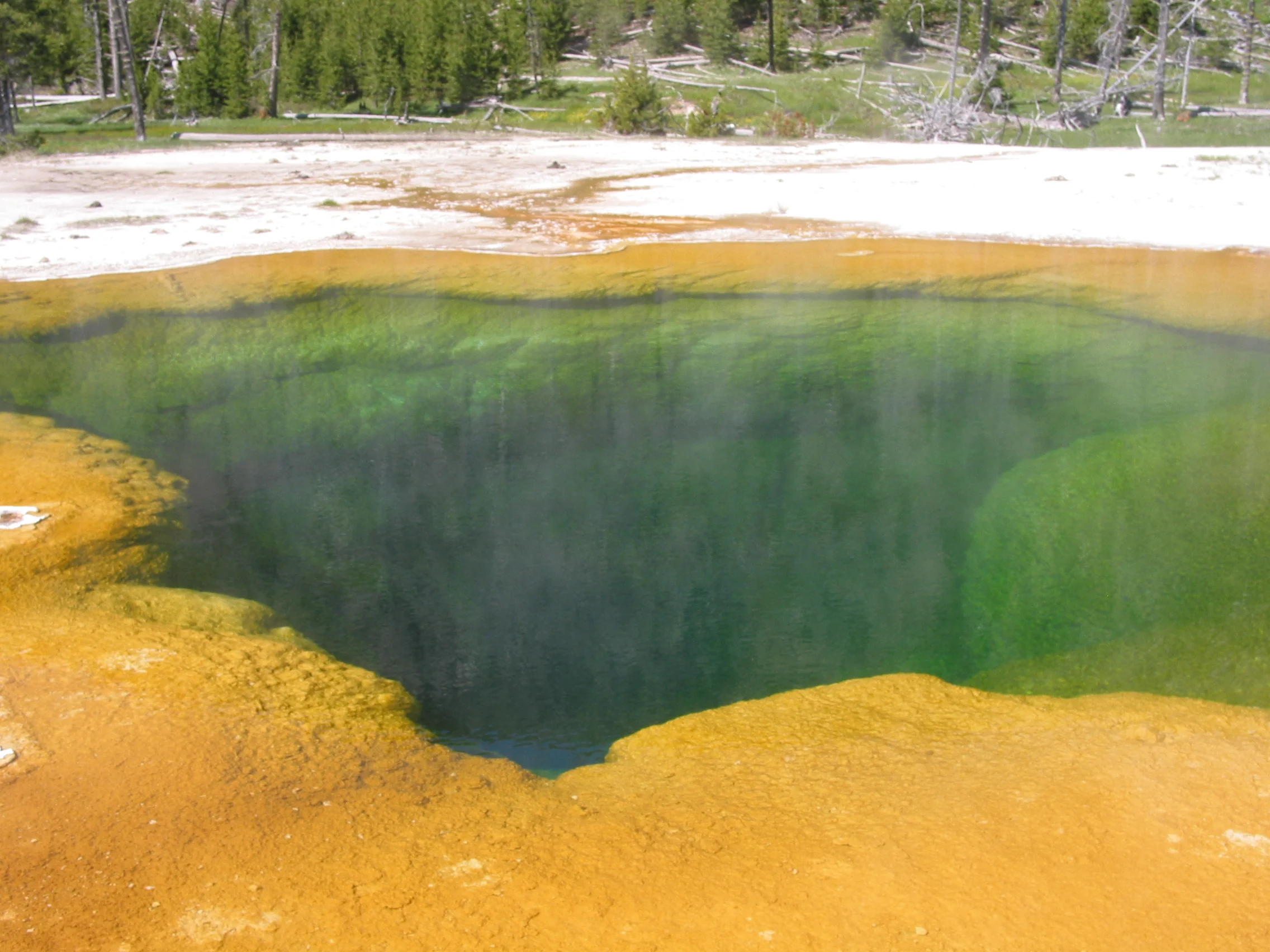 Emerald Pool, Black Sand Basin, Yellowstone National Park, Wyoming