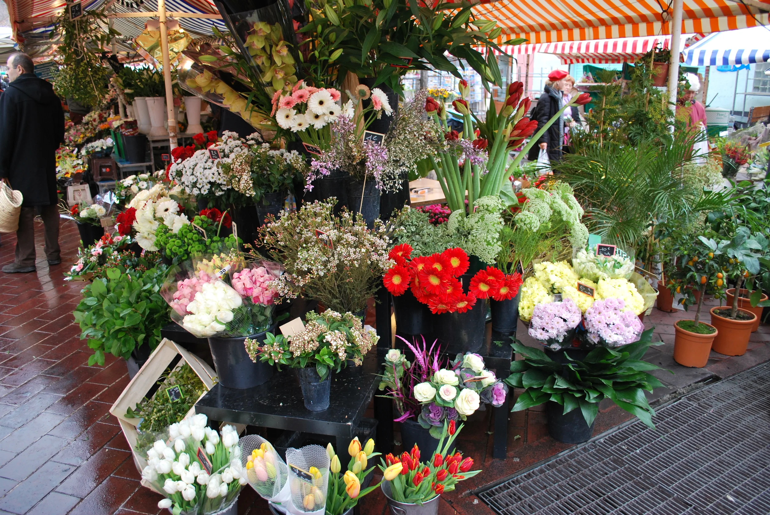 Marche aux Fleurs, Nice, France