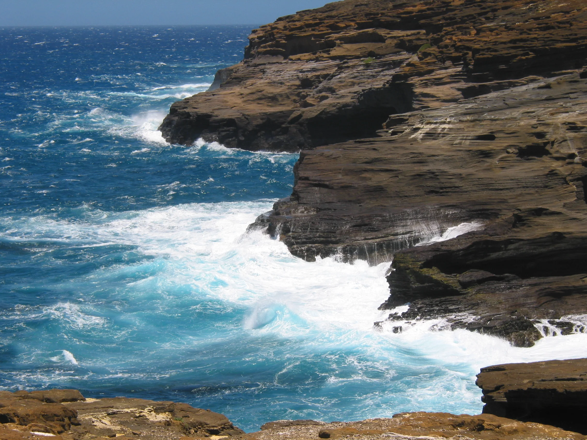Hawai'i Coast