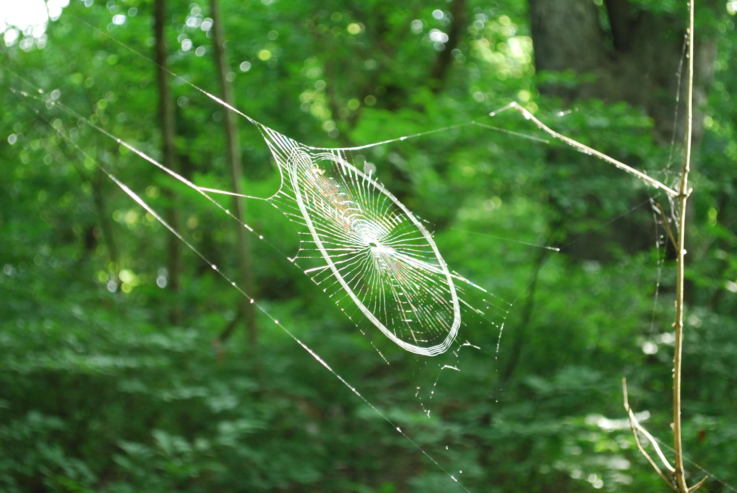 Theodore Roosevelt Island, Washington, DC