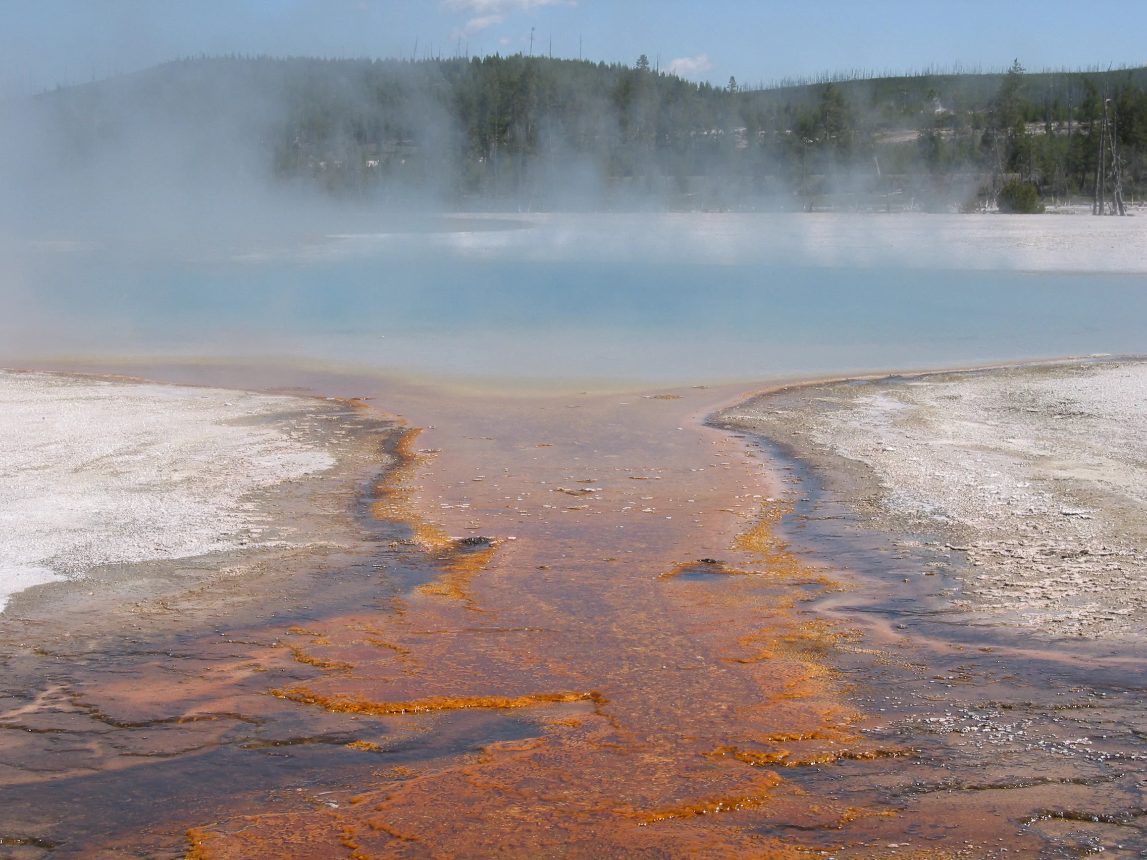 Algae and Pool, Norris Geyser Basin, Yellowstone National Park
