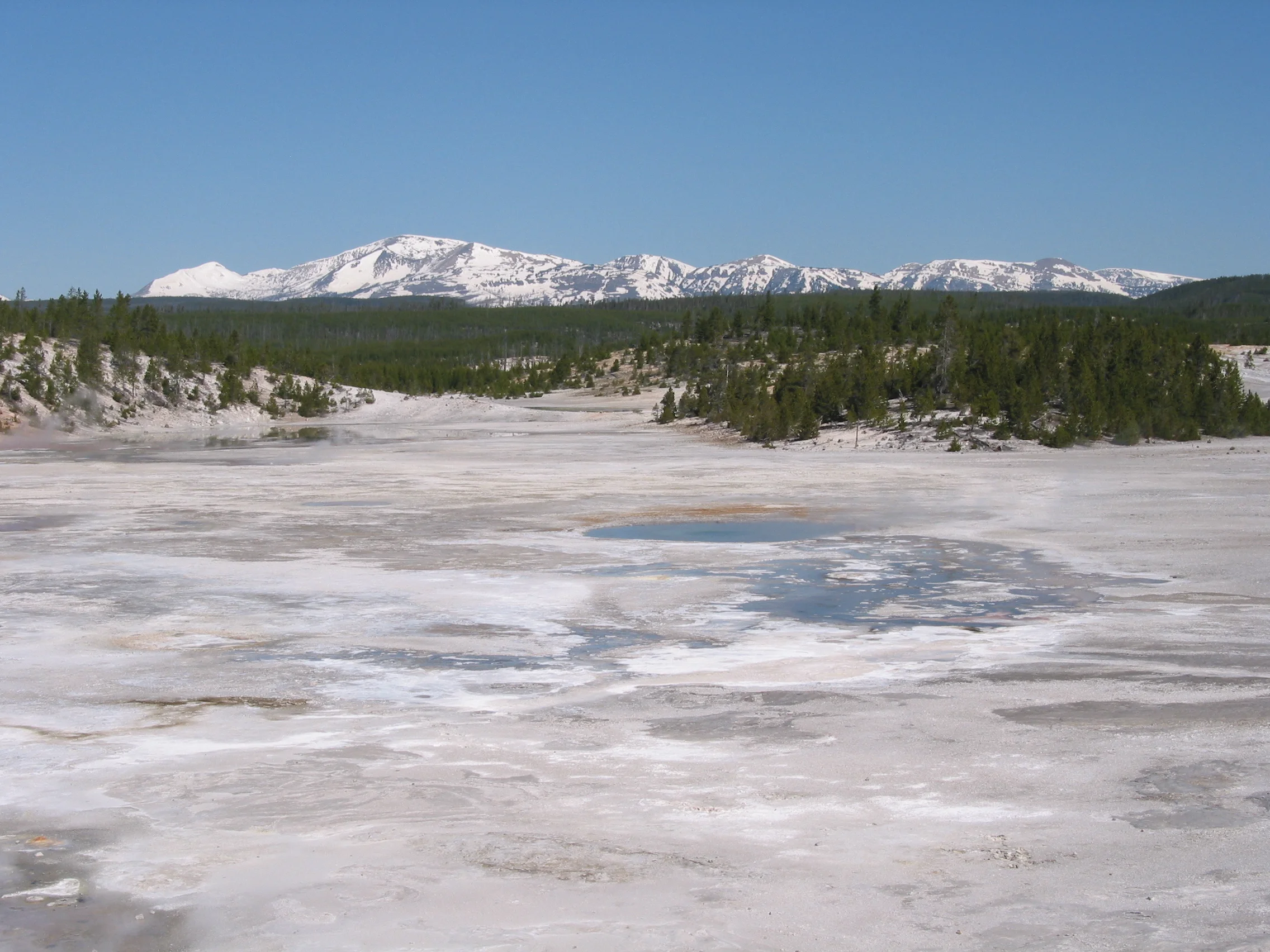 Norris Geyser Basin, Yellowstone National Park