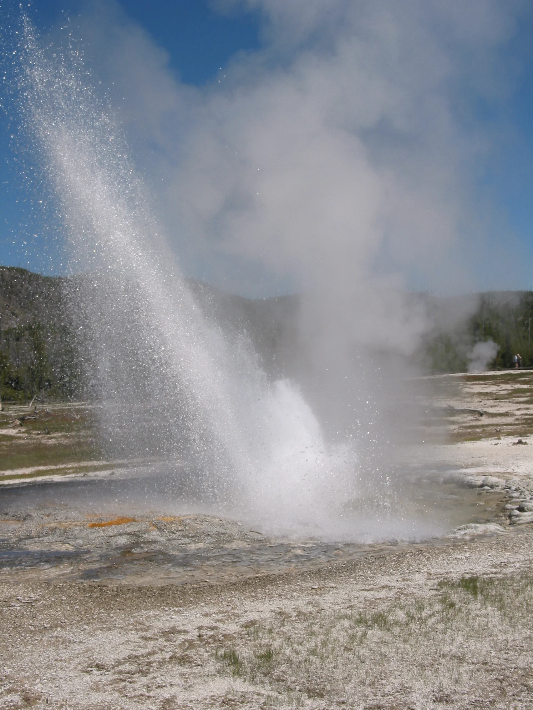 Spouter Geyser, Black Sand Basin, Yellowstone National Park