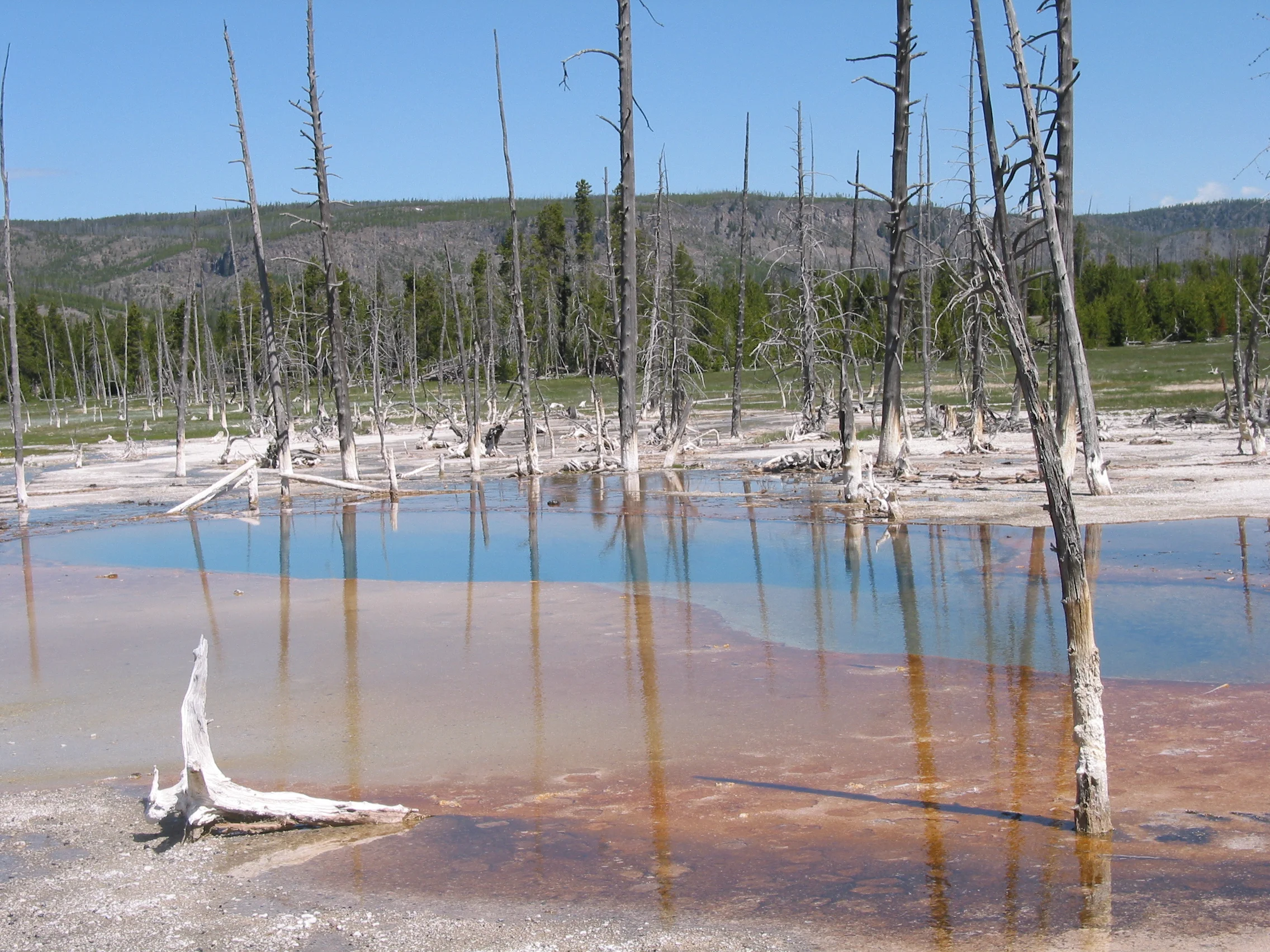Black Sand Basin, Yellowstone National Park